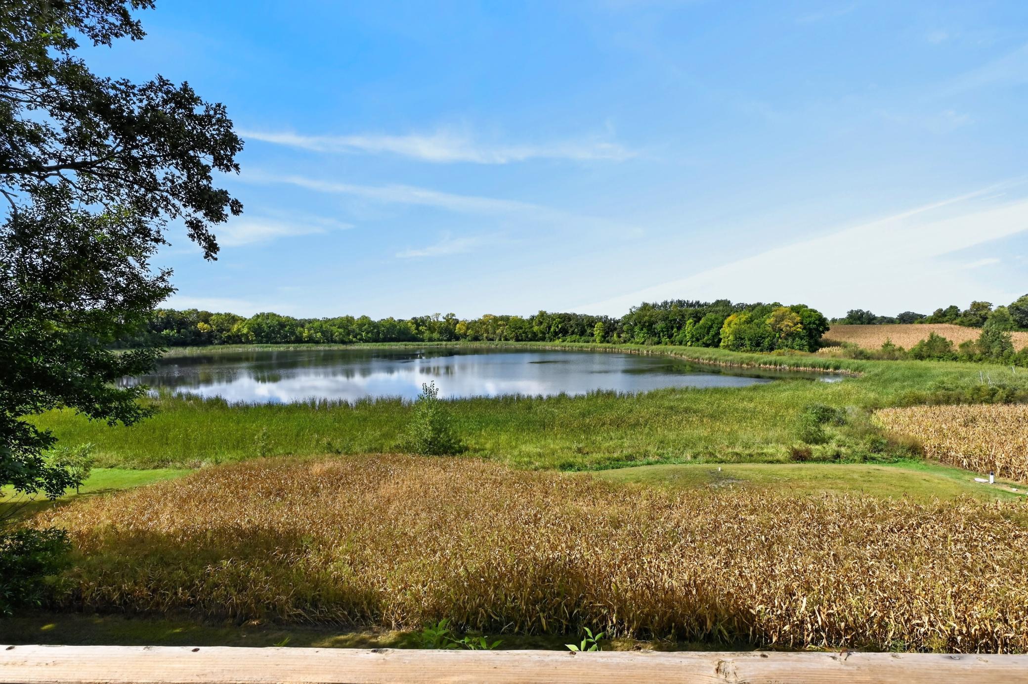 1995 single family home for sale at 10070 County Road 16 NW in Brandon, MN — 5 bed, 3 bath (photo 6 of 70)