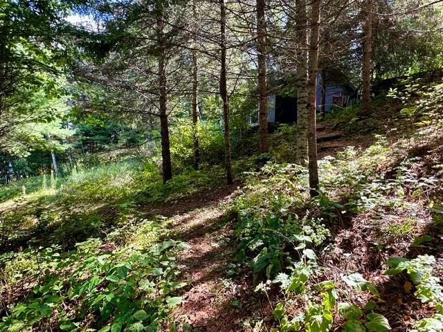 1985 single family home for sale at 18942 Heart Lake Lane in Park Rapids, MN — 2 bed, 0 bath (photo 24 of 26)