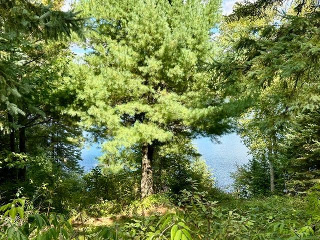1985 single family home for sale at 18942 Heart Lake Lane in Park Rapids, MN — 2 bed, 0 bath (photo 25 of 26)
