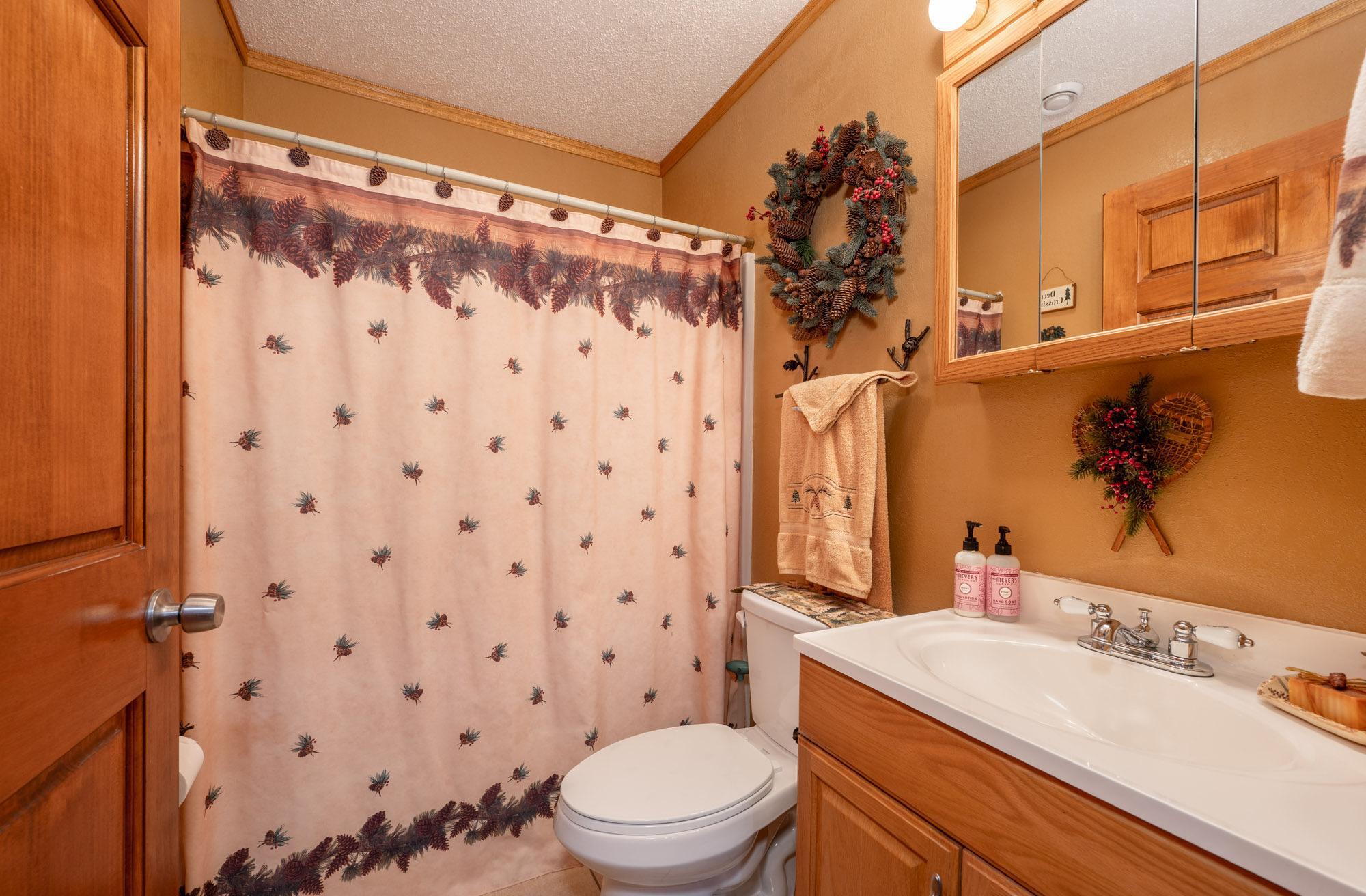 2007 single family home for sale at 16559 County Road 455 in Grand Rapids, MN — 3 bed, 2 bath (photo 24 of 44)