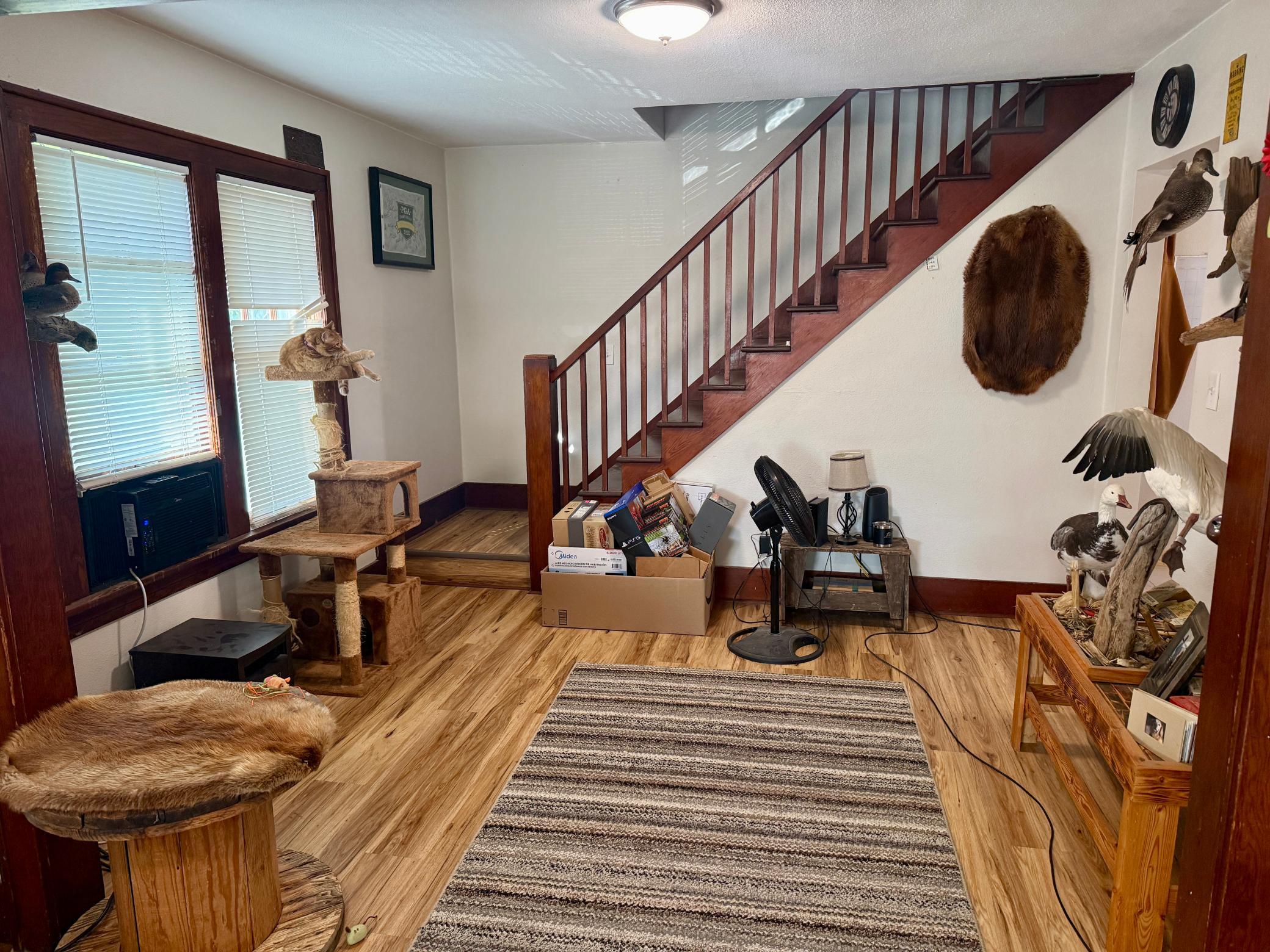 1928 single family home for sale at 907 N Baird Avenue in Fergus Falls, MN — 2 bed, 1 bath (photo 20 of 25)