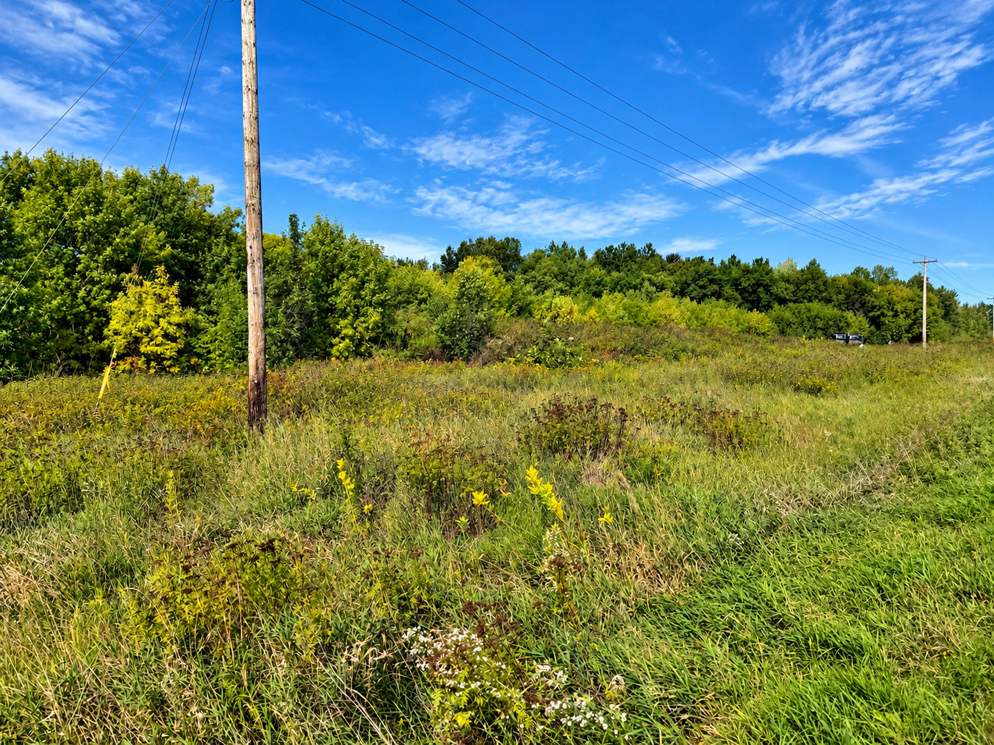 land for sale at TBD 1st Street in Nashwauk, MN (photo 5 of 7)