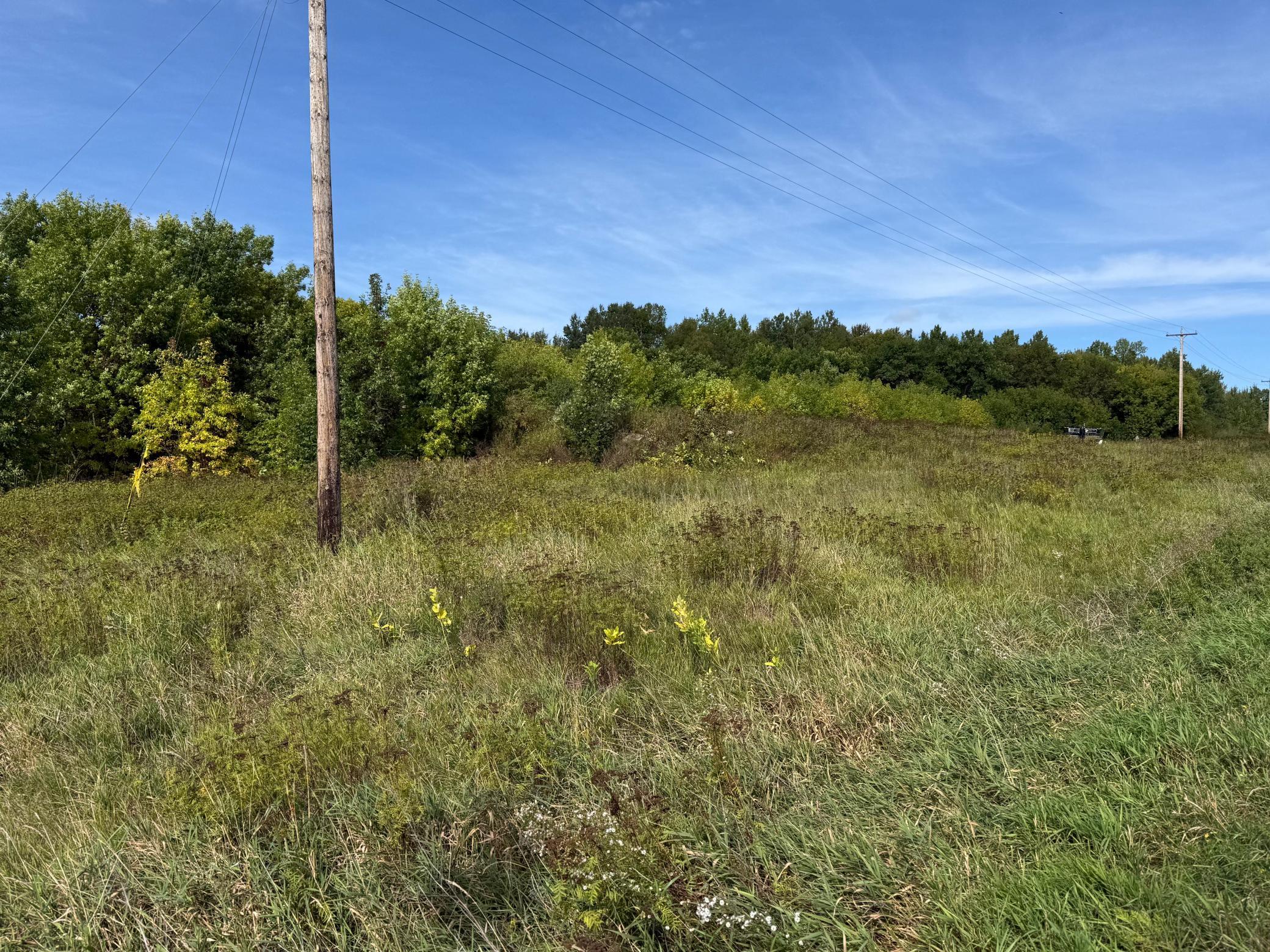 land for sale at TBD 1st Street in Nashwauk, MN (photo 6 of 7)