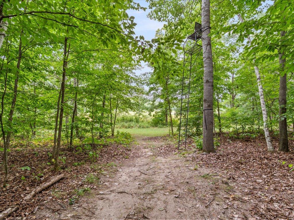 2005 single family home for sale at 7232 Dove Street in Pequot Lakes, MN — 4 bed, 3 bath (photo 31 of 42)