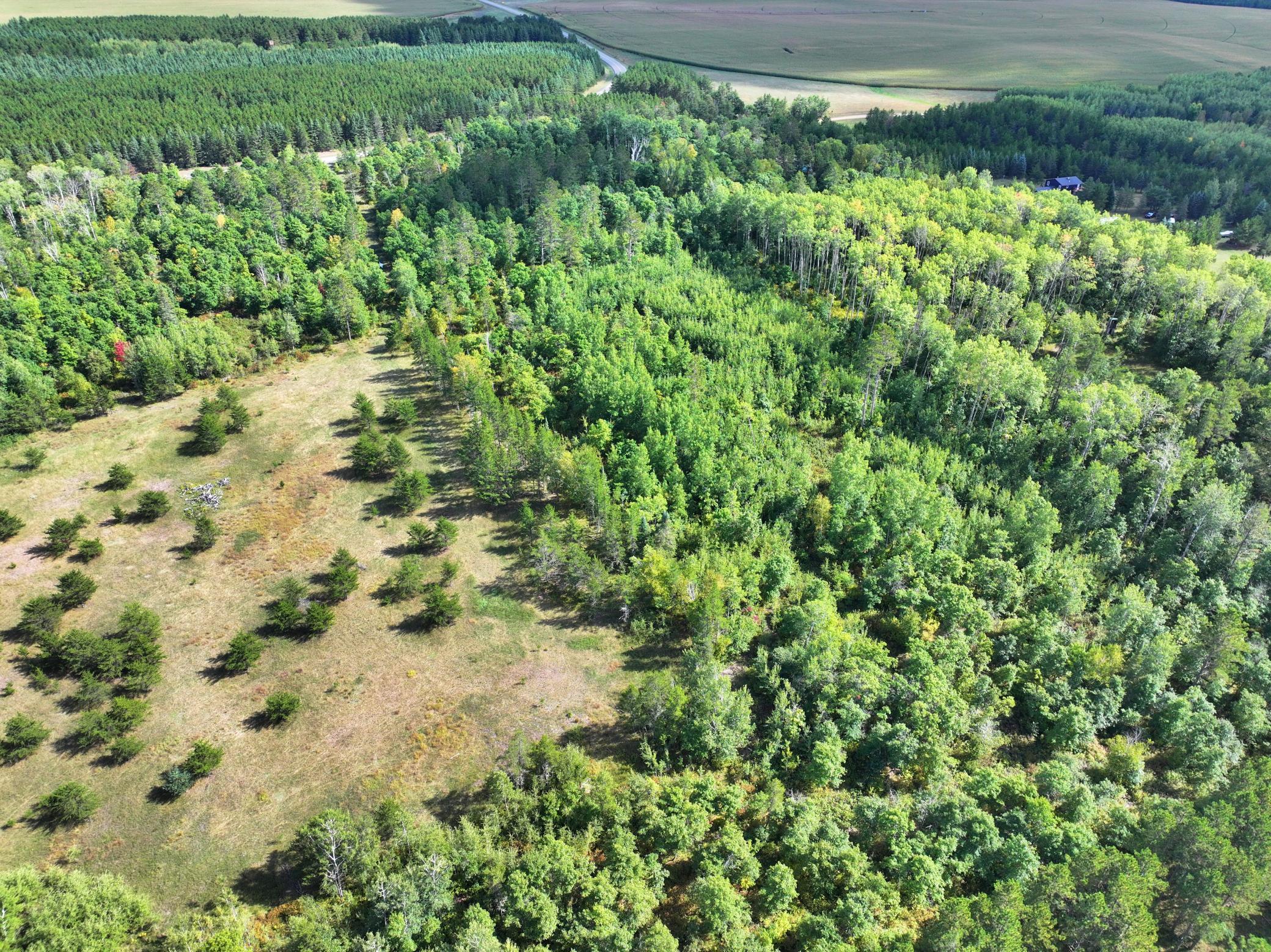 land for sale at TBD County 119 in Nevis, MN (photo 3 of 13)
