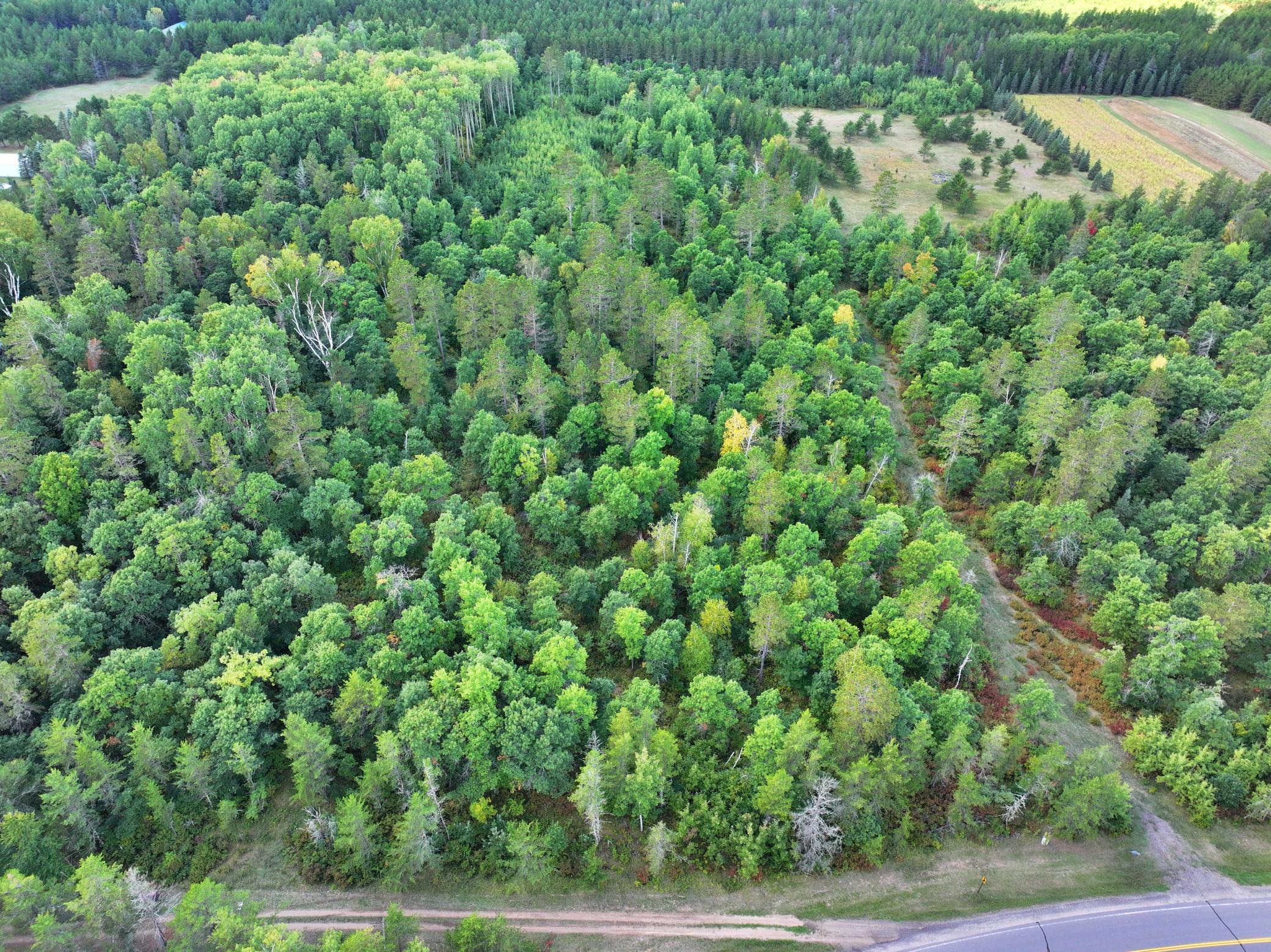land for sale at TBD County 119 in Nevis, MN (photo 4 of 13)