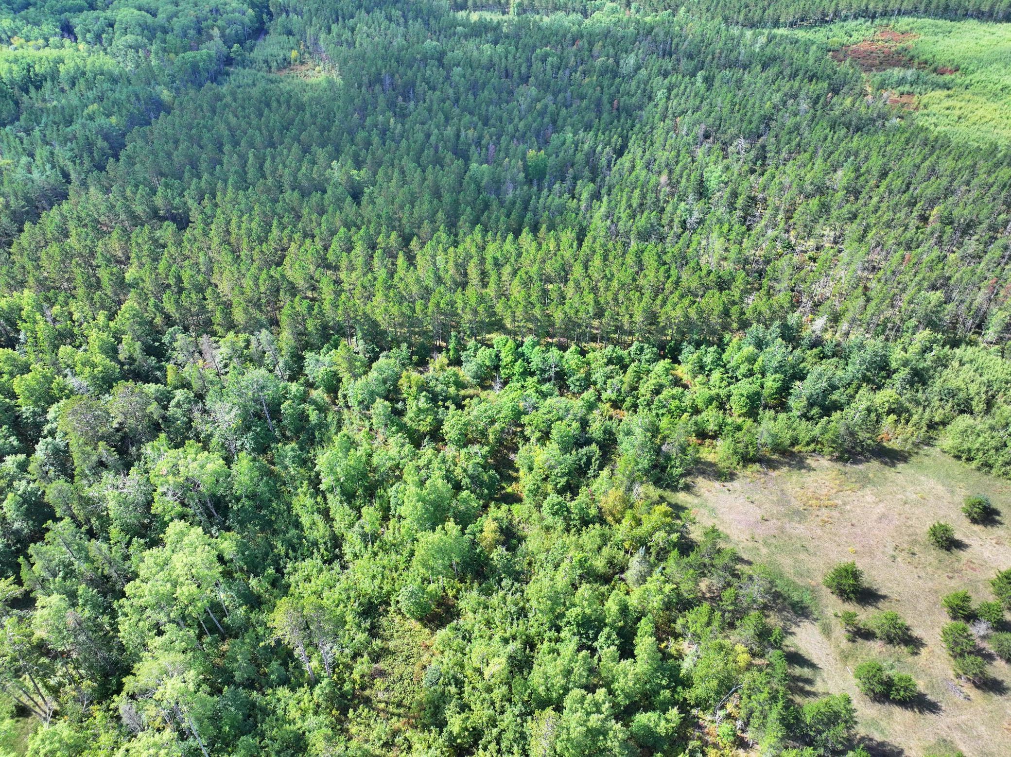 land for sale at TBD County 119 in Nevis, MN (photo 7 of 13)