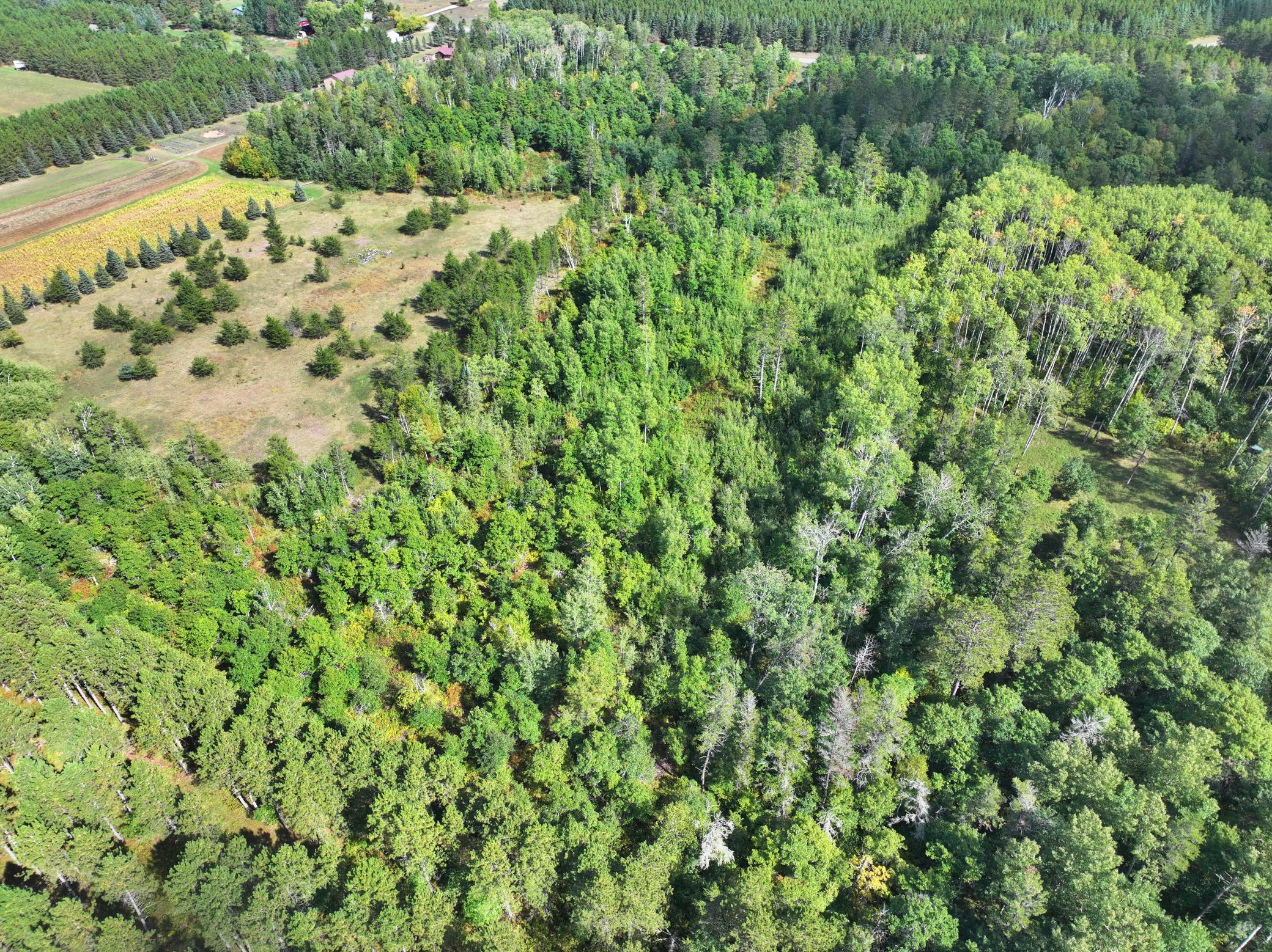 land for sale at TBD County 119 in Nevis, MN (photo 8 of 13)