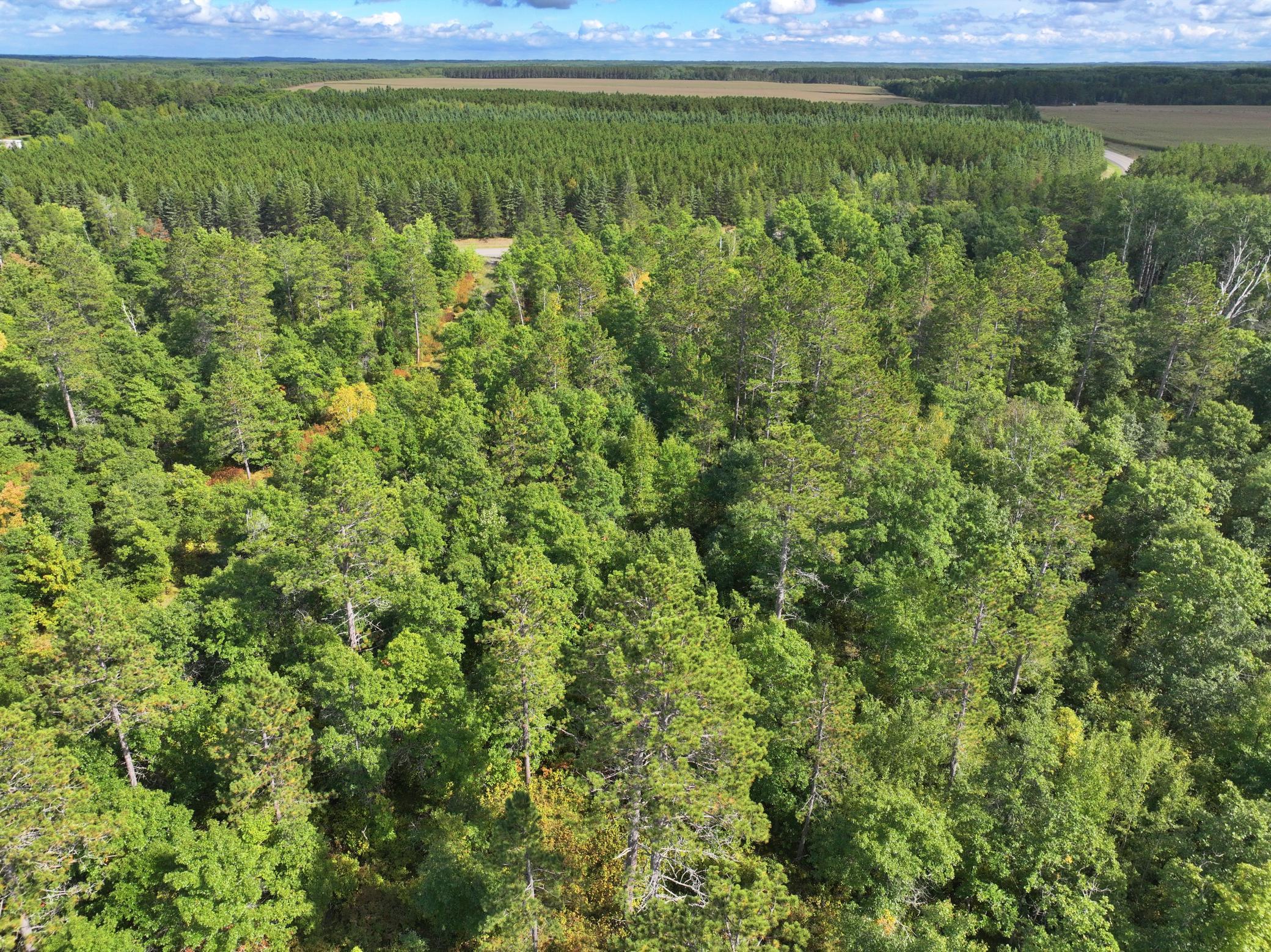 land for sale at TBD County 119 in Nevis, MN (photo 9 of 13)