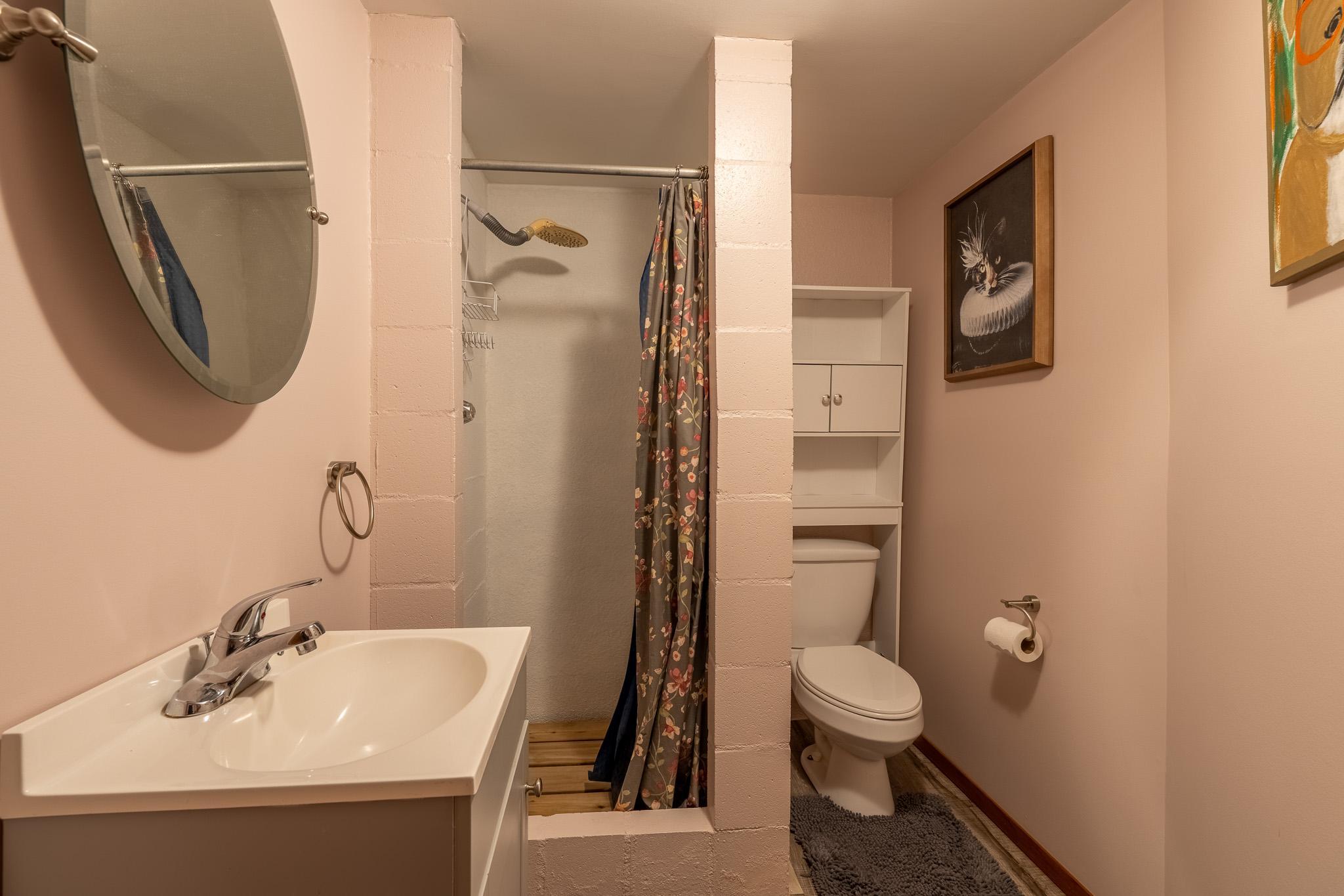 1961 single family home for sale at 913 Park Drive S in Fargo, ND — 5 bed, 4 bath (photo 34 of 52)