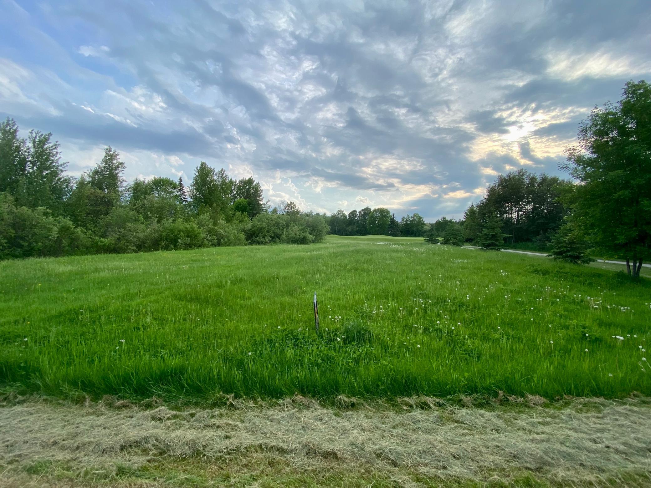 land for sale at TBD Dogwood Drive in Warroad, MN