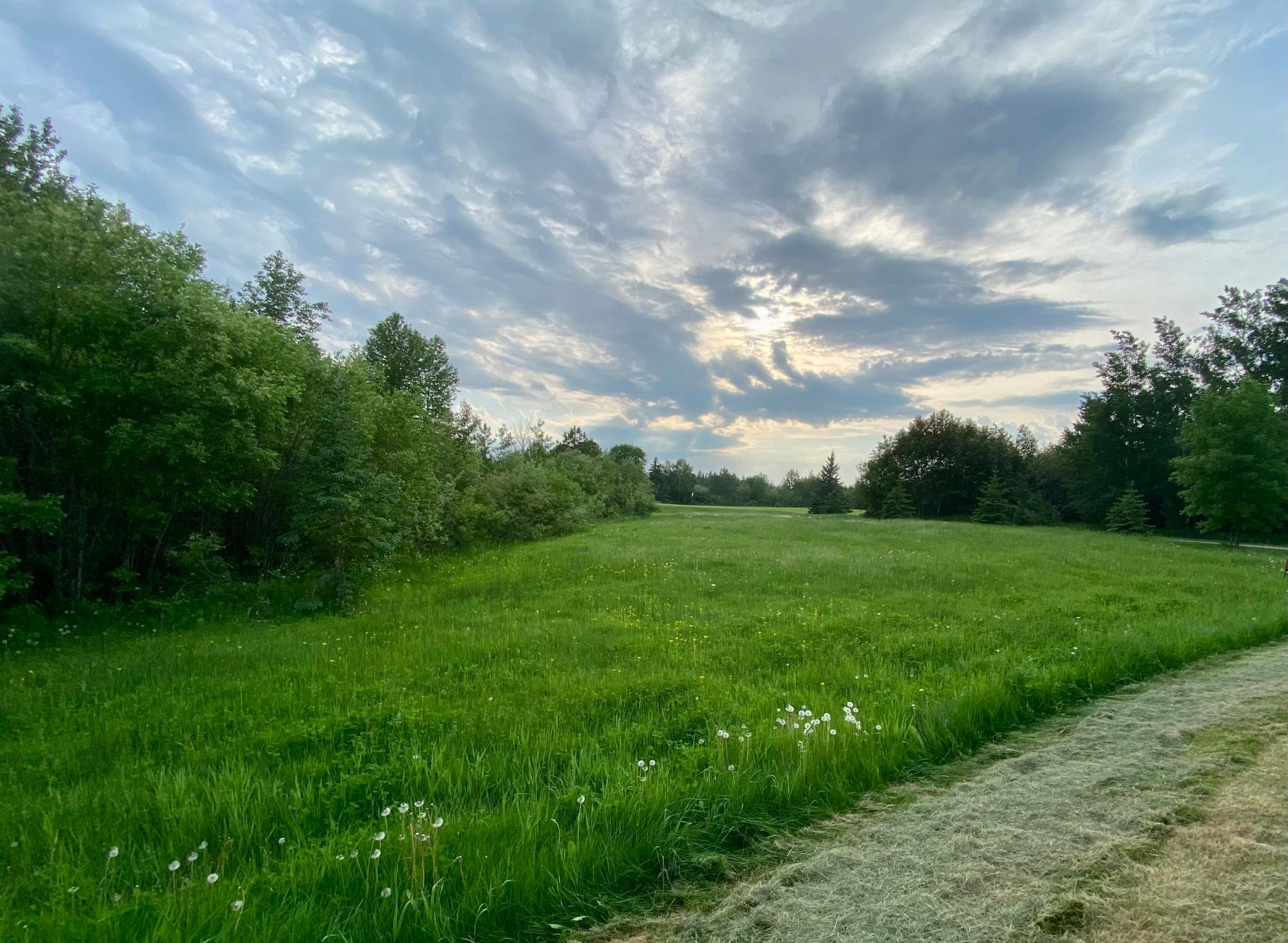 land for sale at TBD Dogwood Drive in Warroad, MN (photo 3 of 10)