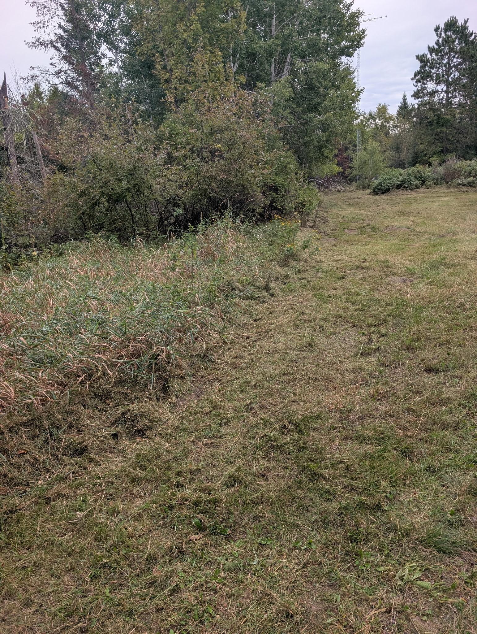 land for sale at 38812 Outback Drive in Laporte, MN (photo 16 of 83)