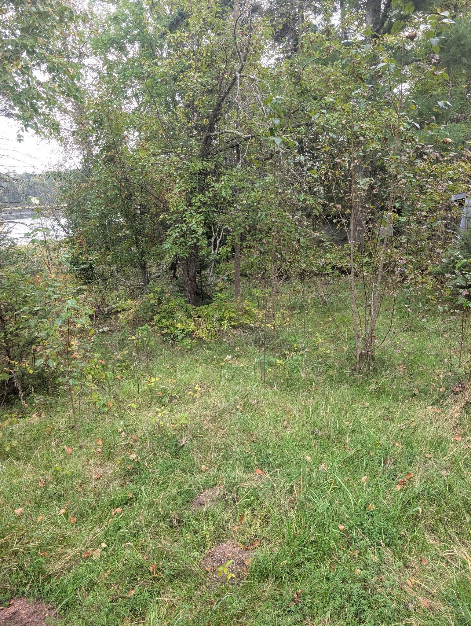land for sale at 38812 Outback Drive in Laporte, MN (photo 21 of 83)