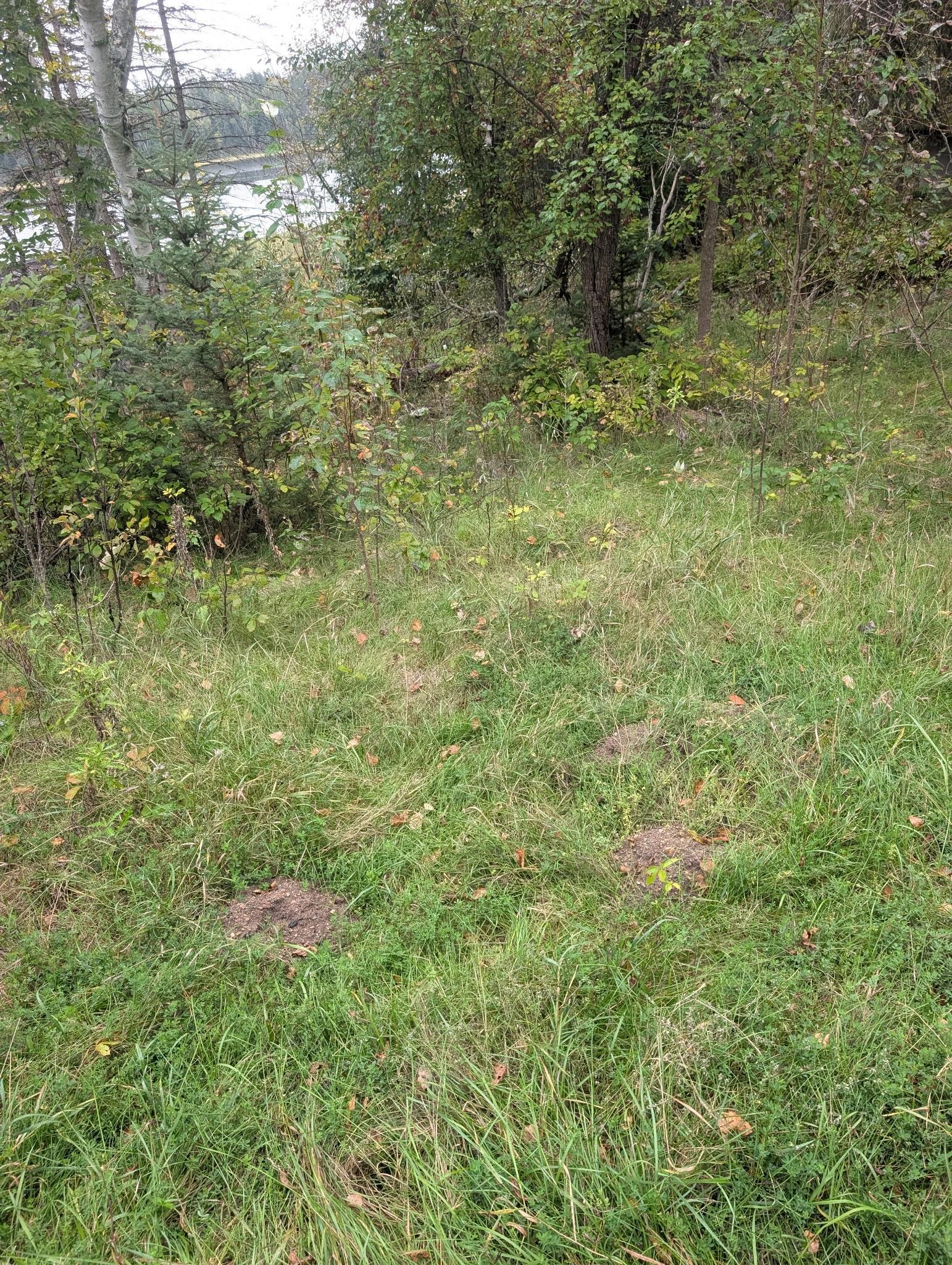 land for sale at 38812 Outback Drive in Laporte, MN (photo 23 of 83)