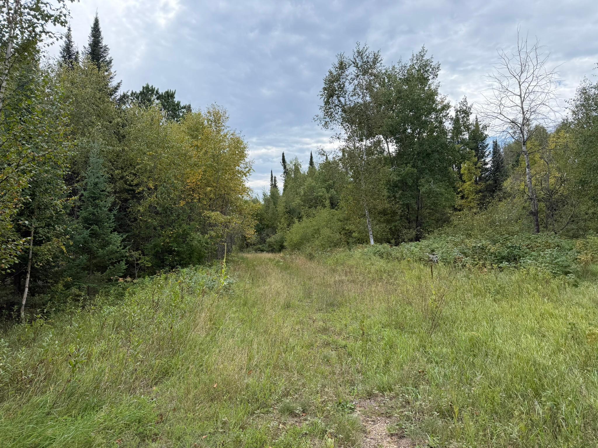 land for sale at 38812 Outback Drive in Laporte, MN (photo 28 of 83)