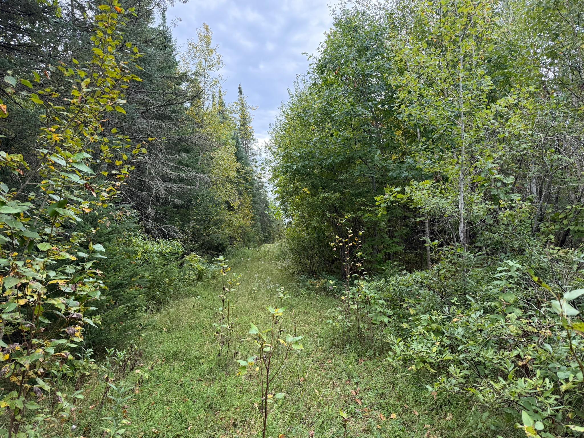 land for sale at 38812 Outback Drive in Laporte, MN (photo 29 of 83)