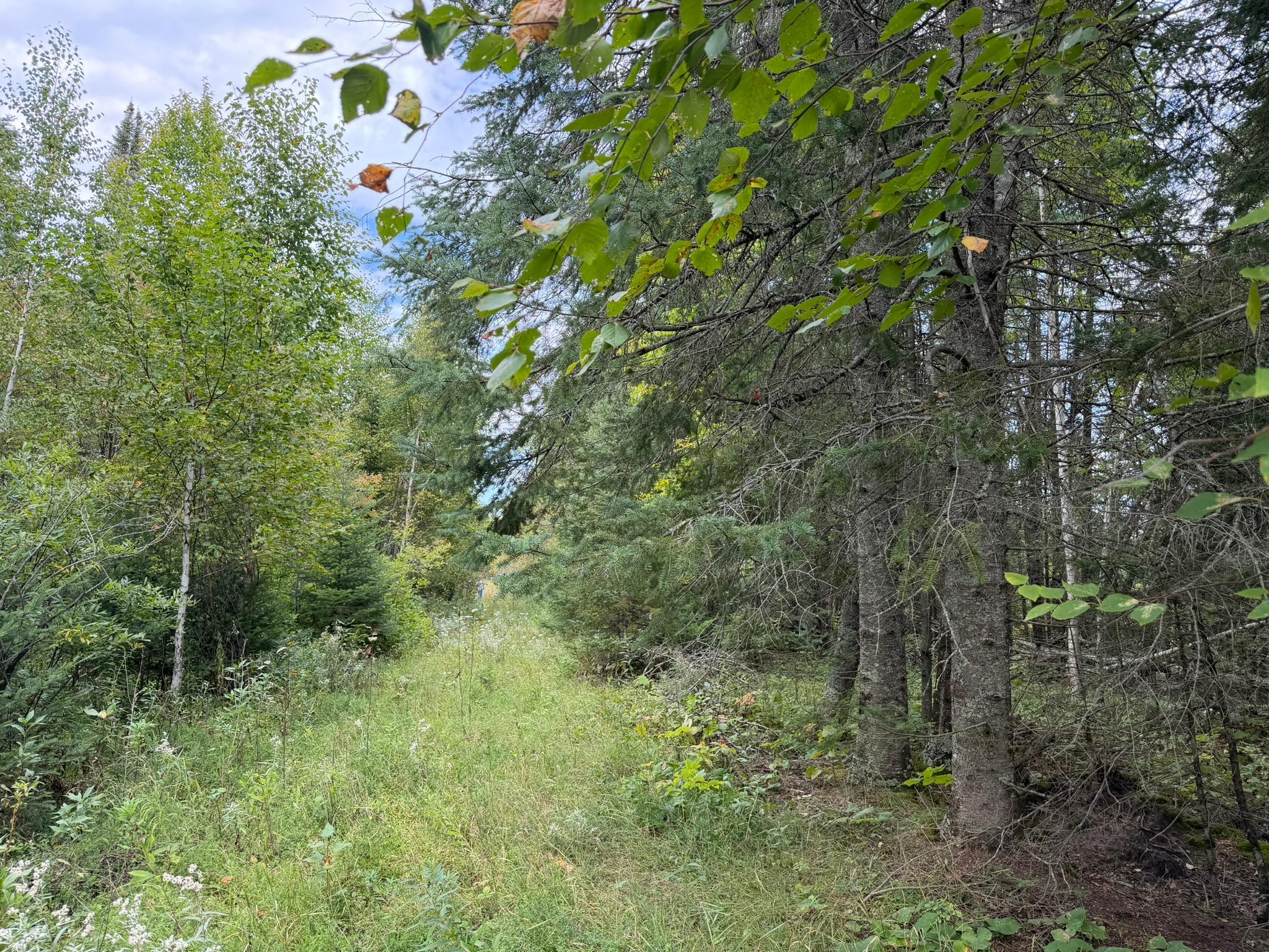 land for sale at 38812 Outback Drive in Laporte, MN (photo 32 of 83)