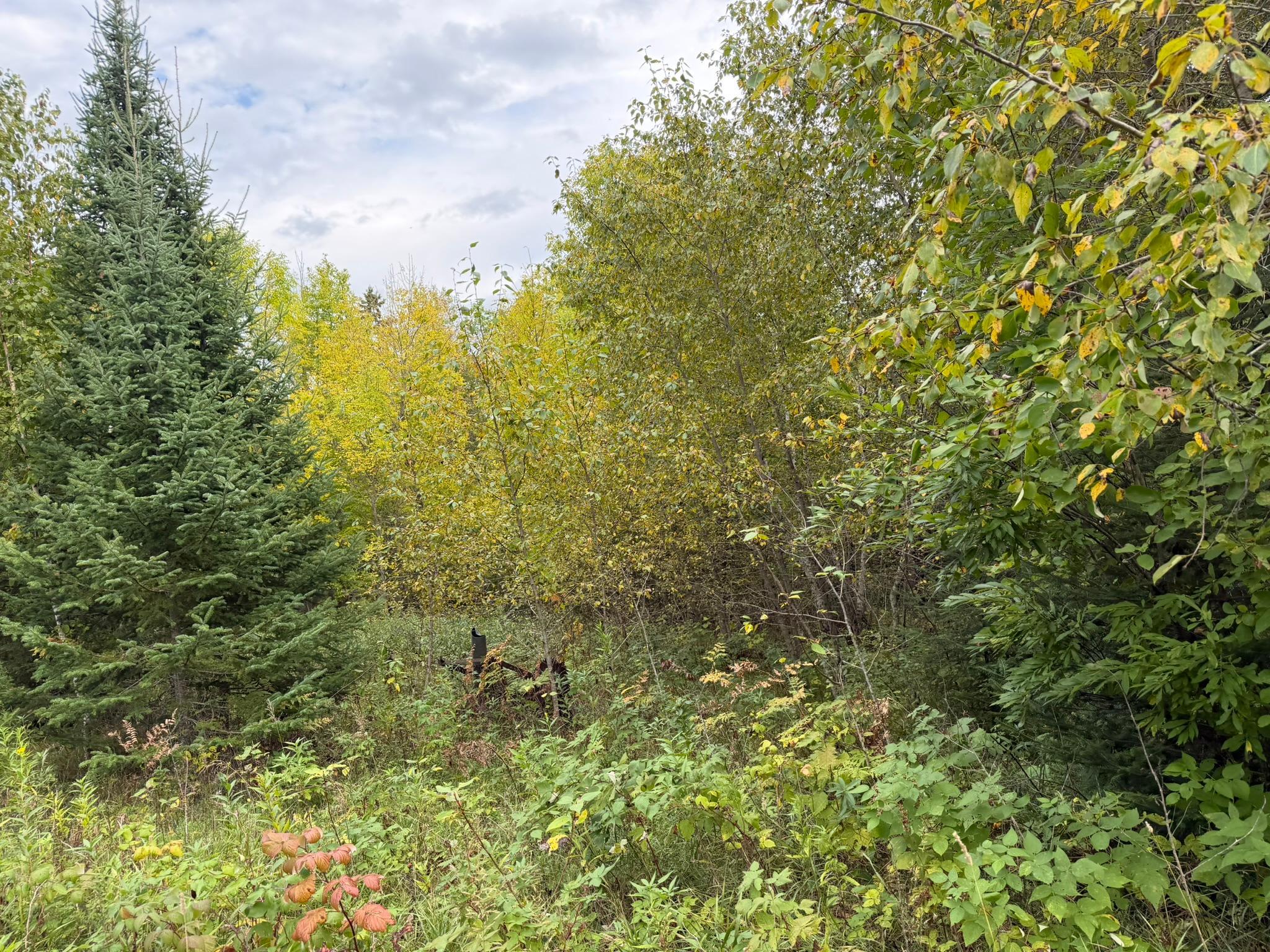 land for sale at 38812 Outback Drive in Laporte, MN (photo 35 of 83)