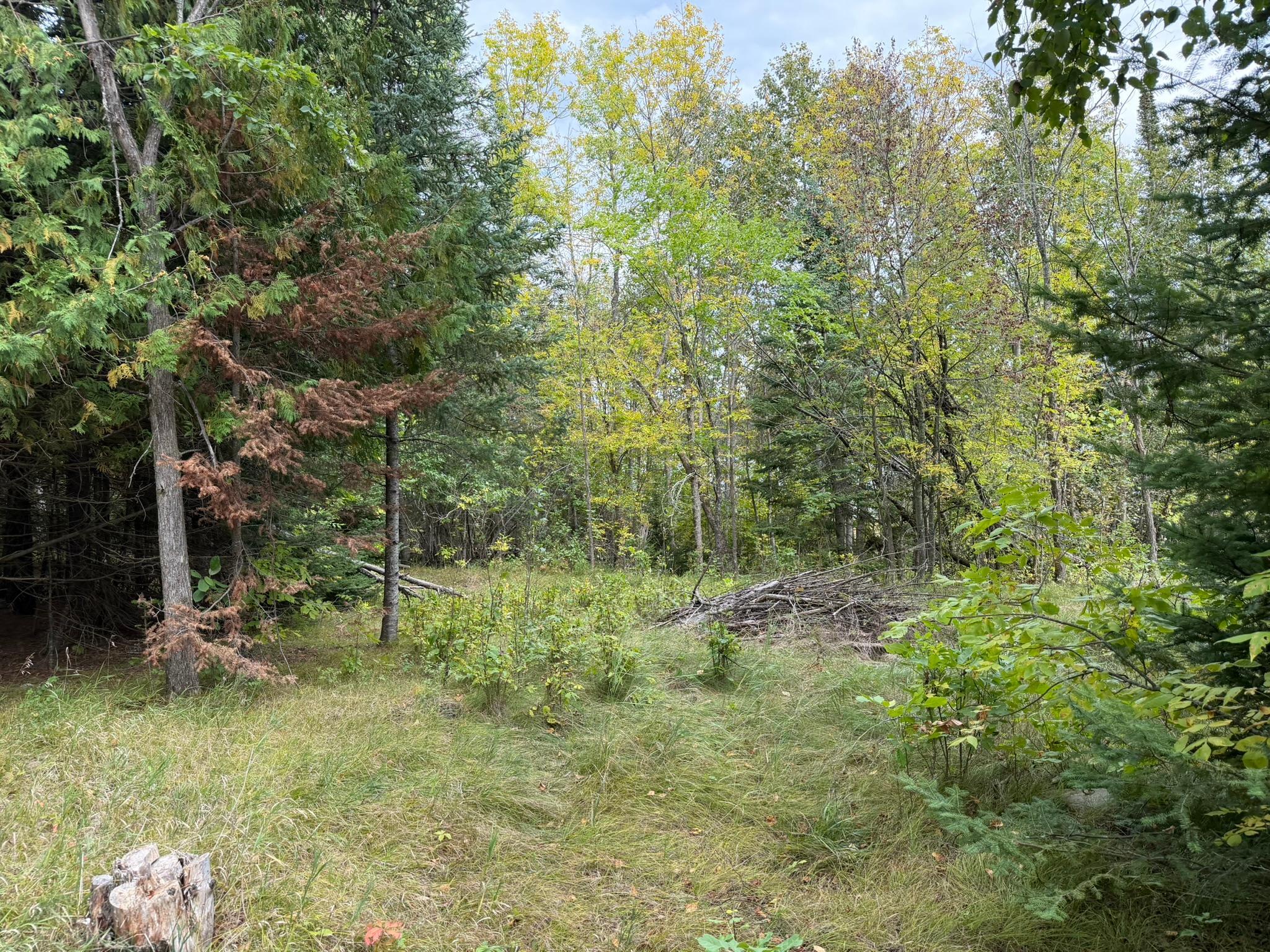 land for sale at 38812 Outback Drive in Laporte, MN (photo 40 of 83)