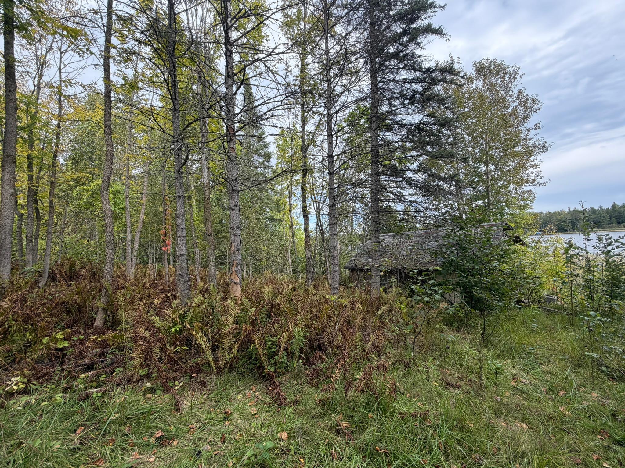 land for sale at 38812 Outback Drive in Laporte, MN (photo 50 of 83)