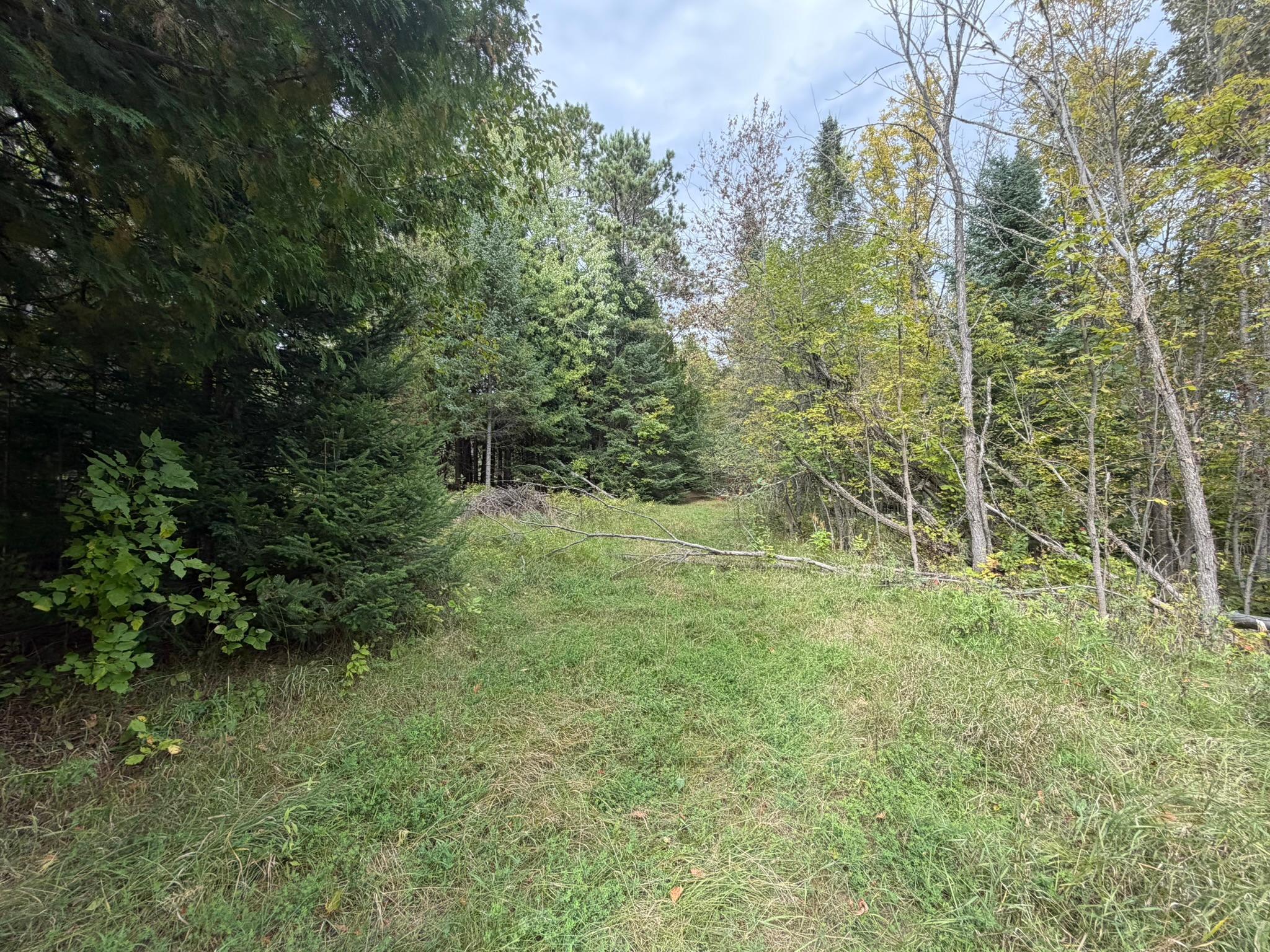 land for sale at 38812 Outback Drive in Laporte, MN (photo 51 of 83)