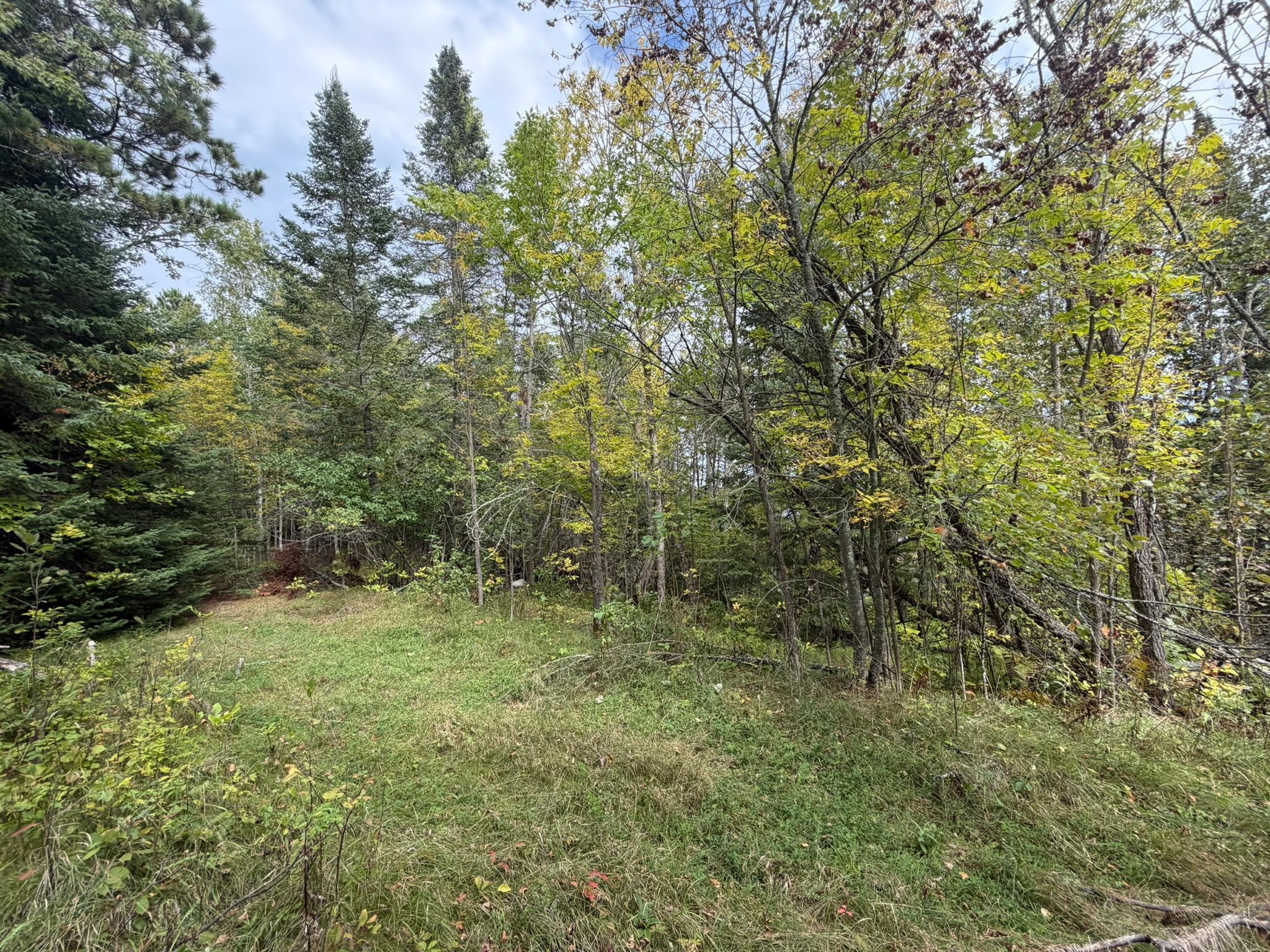 land for sale at 38812 Outback Drive in Laporte, MN (photo 53 of 83)