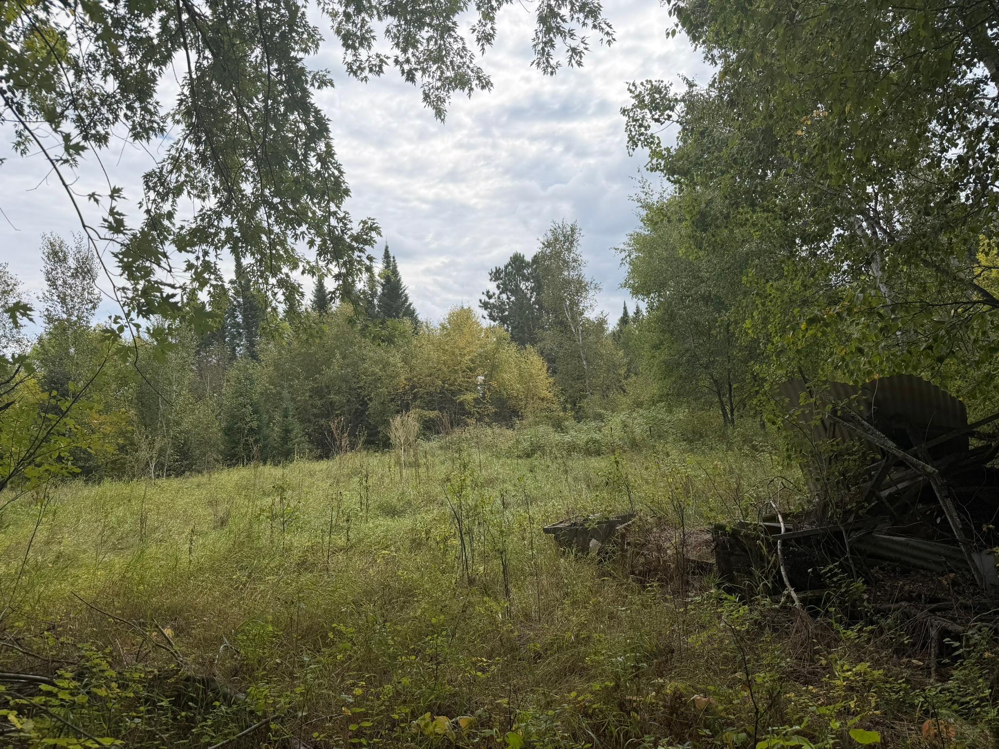 land for sale at 38812 Outback Drive in Laporte, MN (photo 63 of 83)