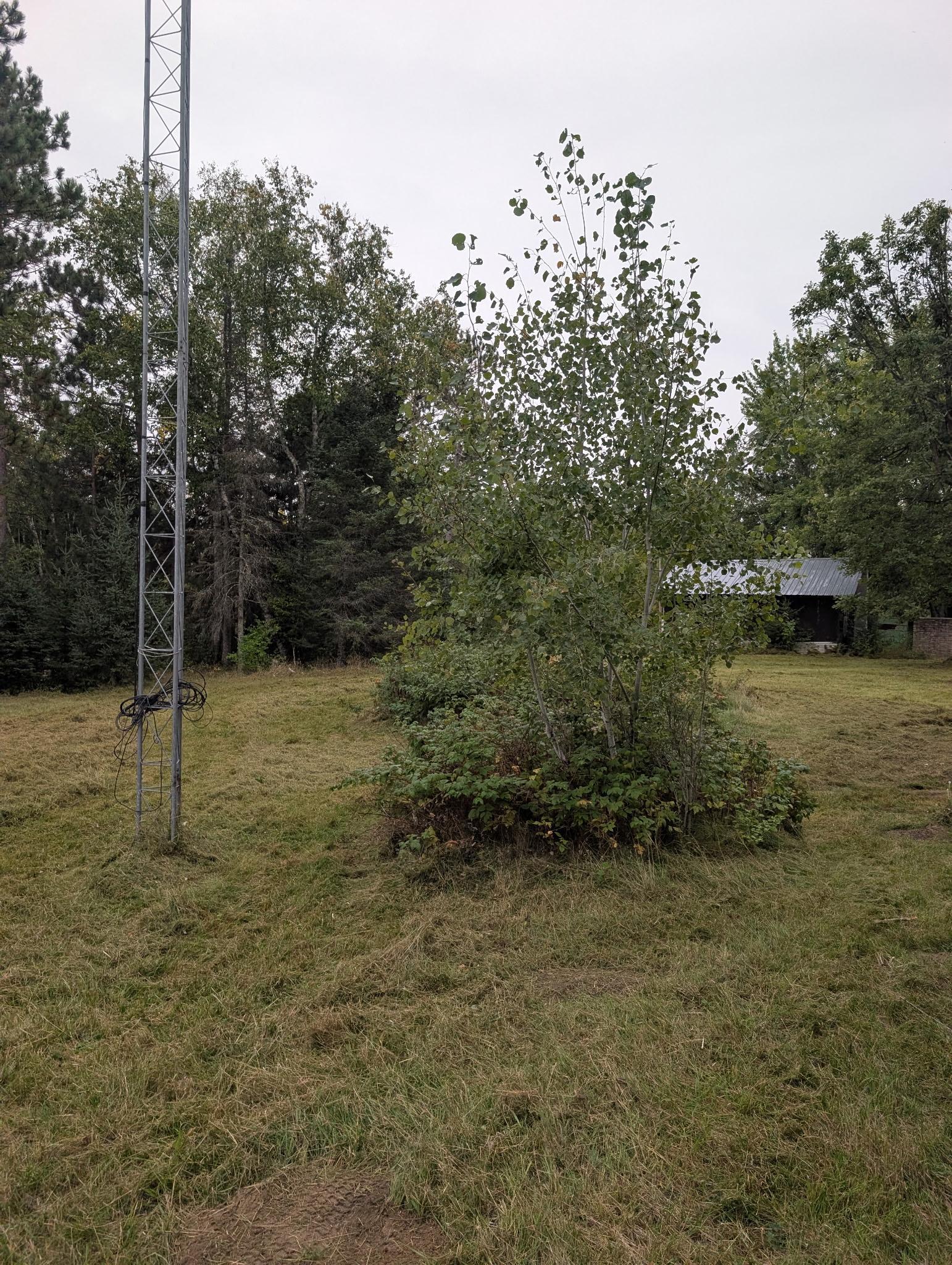 land for sale at 38812 Outback Drive in Laporte, MN (photo 8 of 83)
