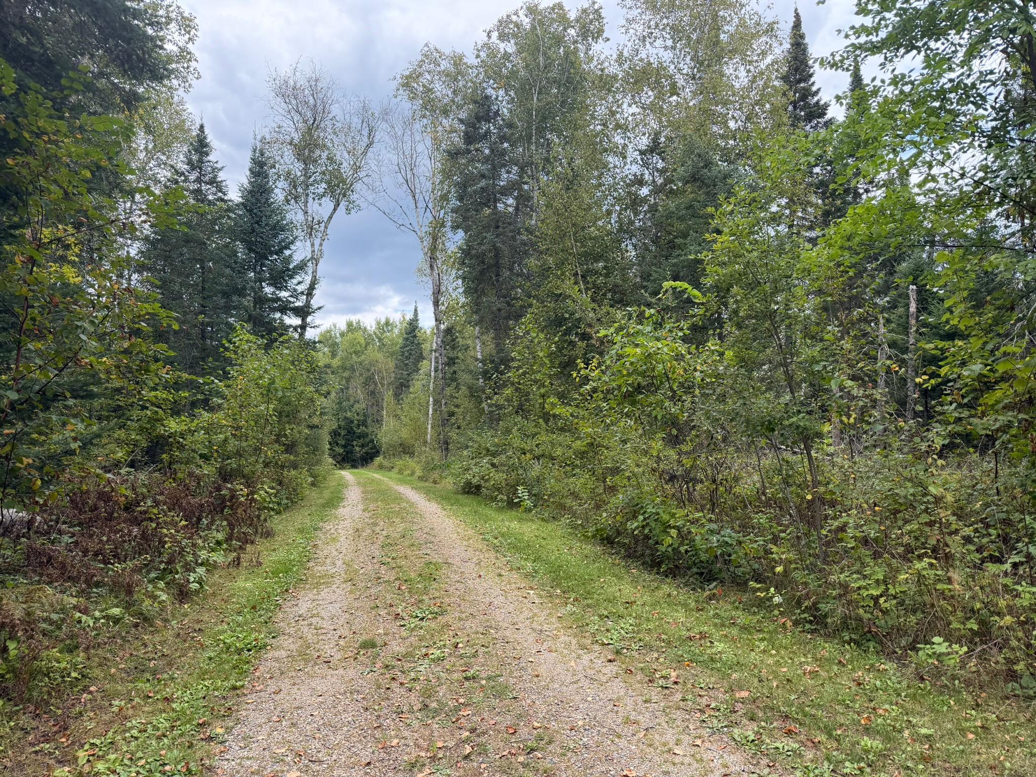 land for sale at 38812 Outback Drive in Laporte, MN (photo 74 of 83)