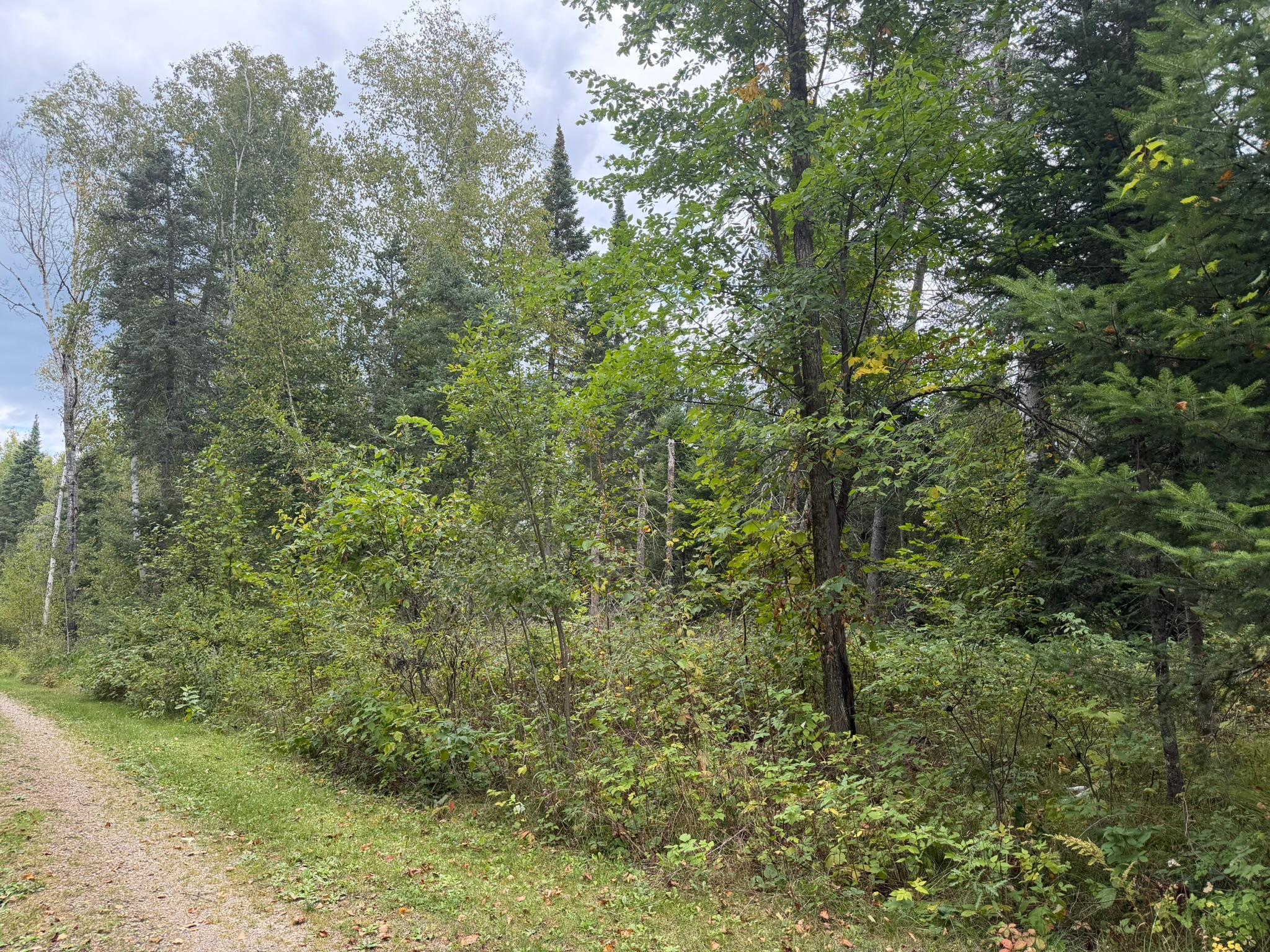 land for sale at 38812 Outback Drive in Laporte, MN (photo 75 of 83)