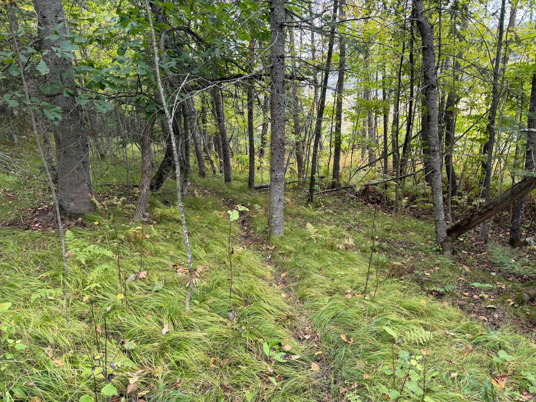 land for sale at 38812 Outback Drive in Laporte, MN (photo 77 of 83)