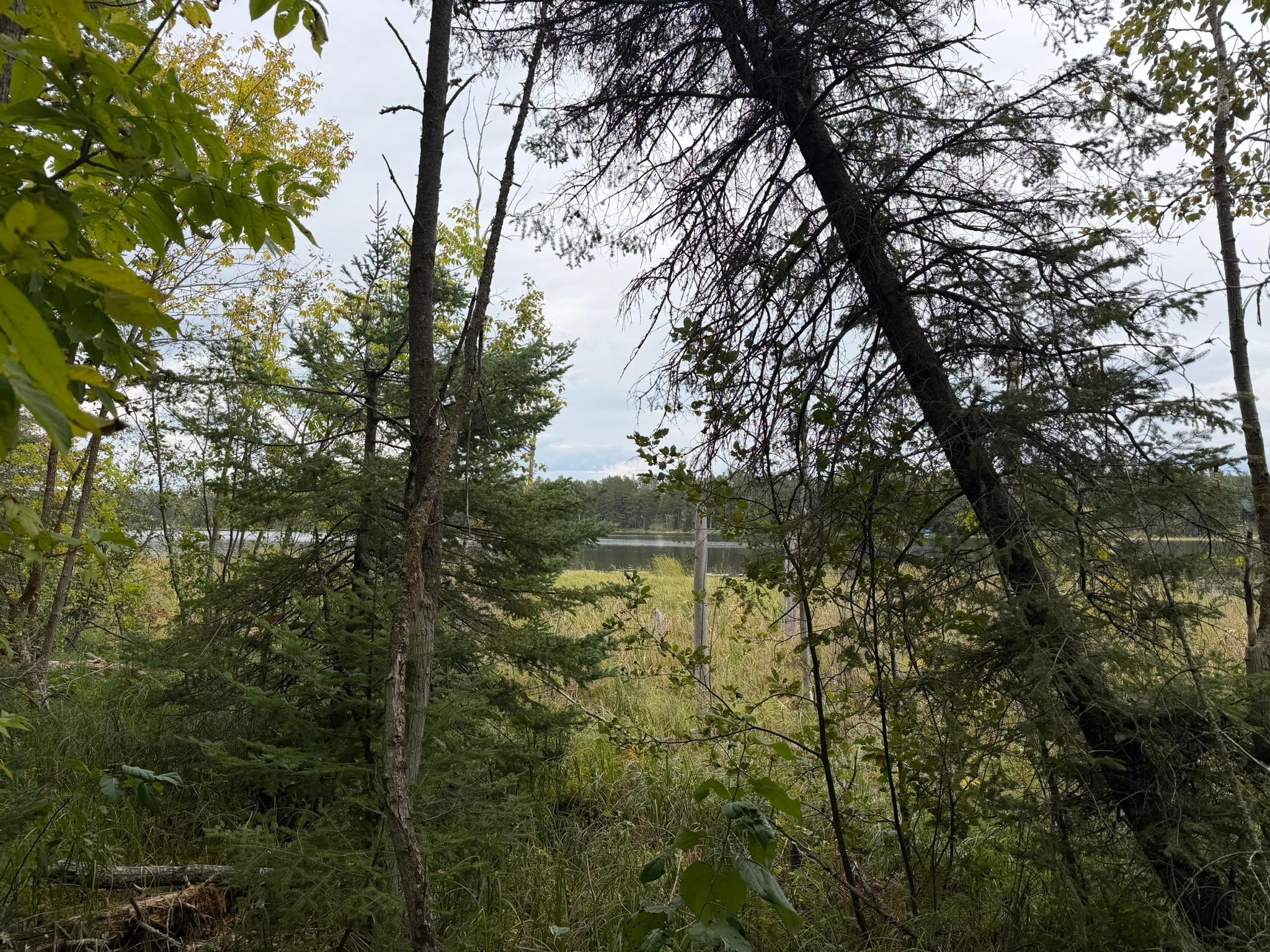 land for sale at 38812 Outback Drive in Laporte, MN (photo 78 of 83)