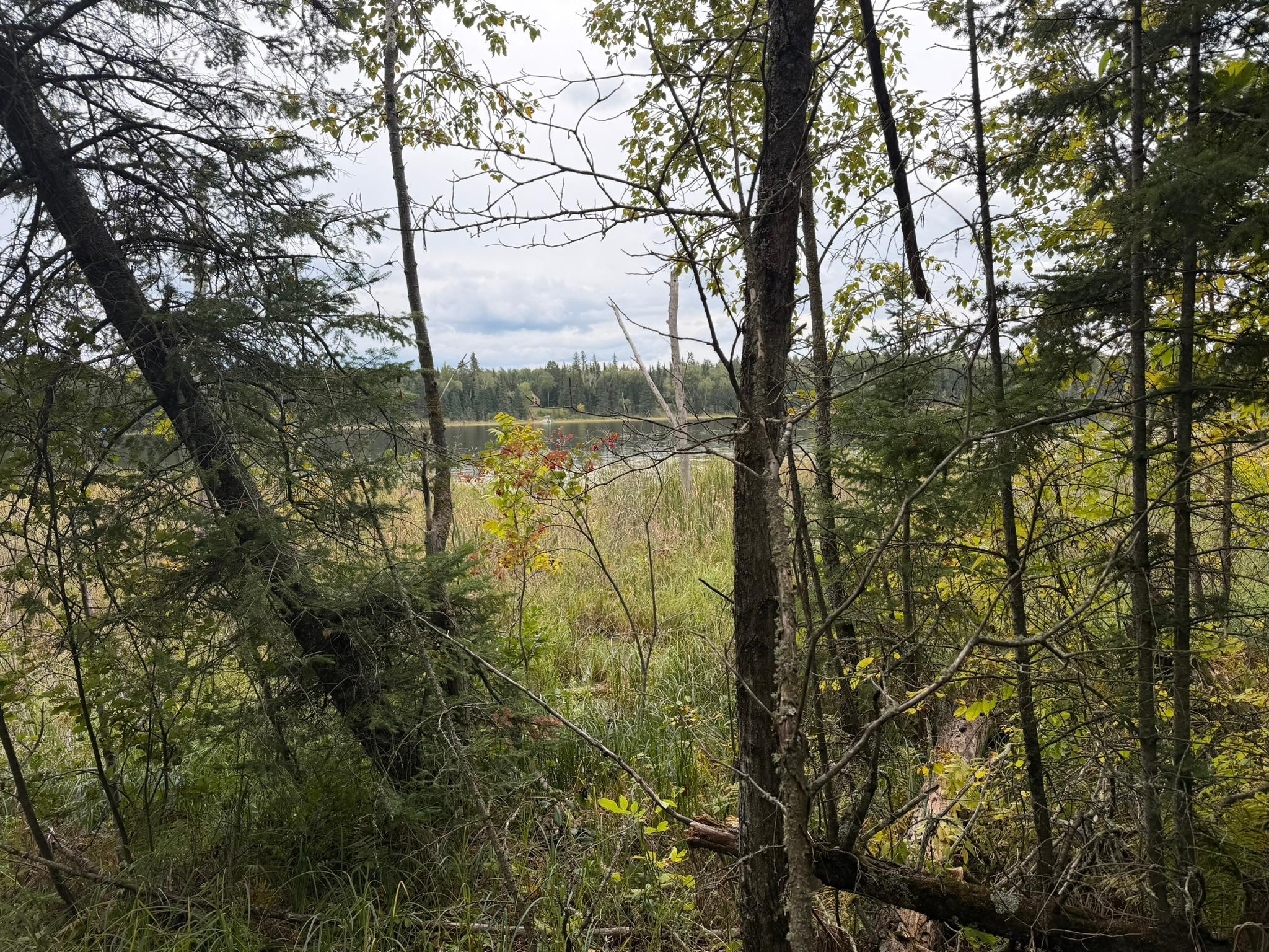 land for sale at 38812 Outback Drive in Laporte, MN (photo 79 of 83)