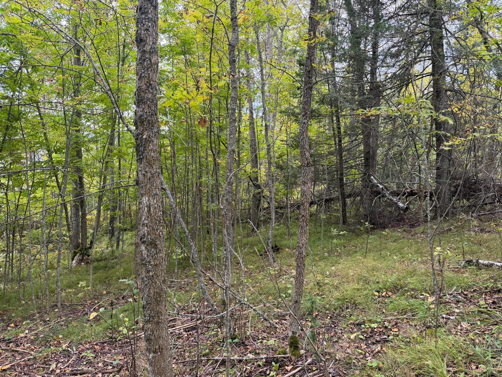 land for sale at 38812 Outback Drive in Laporte, MN (photo 80 of 83)