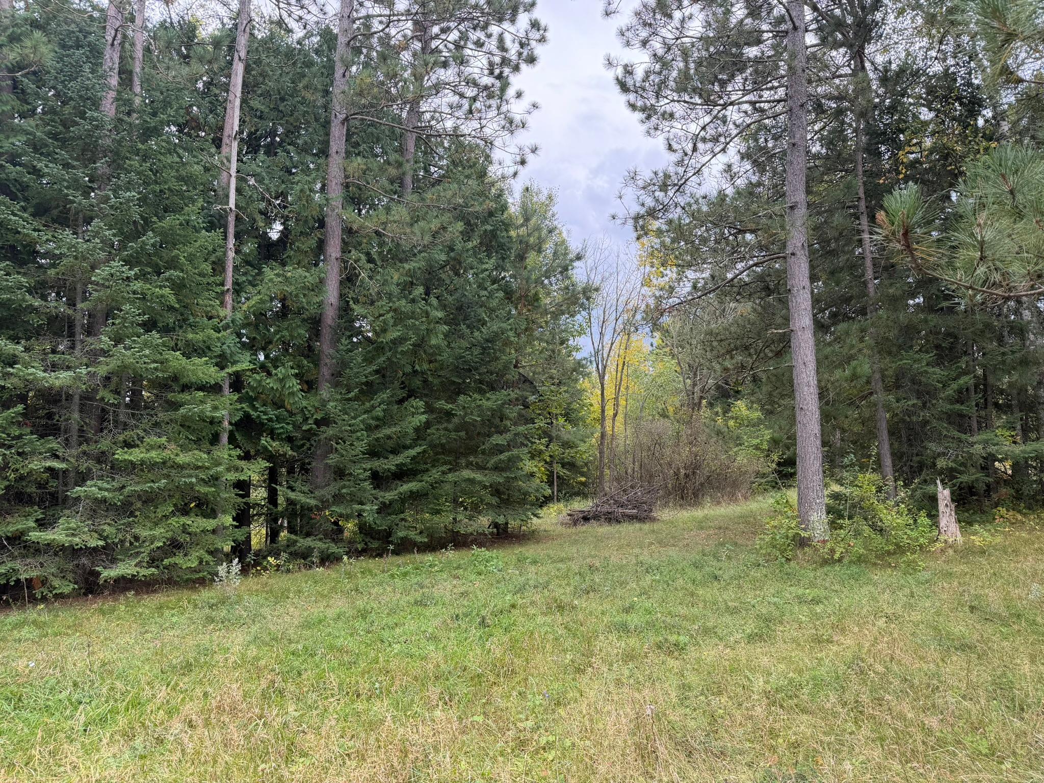 land for sale at 38812 Outback Drive in Laporte, MN (photo 82 of 83)