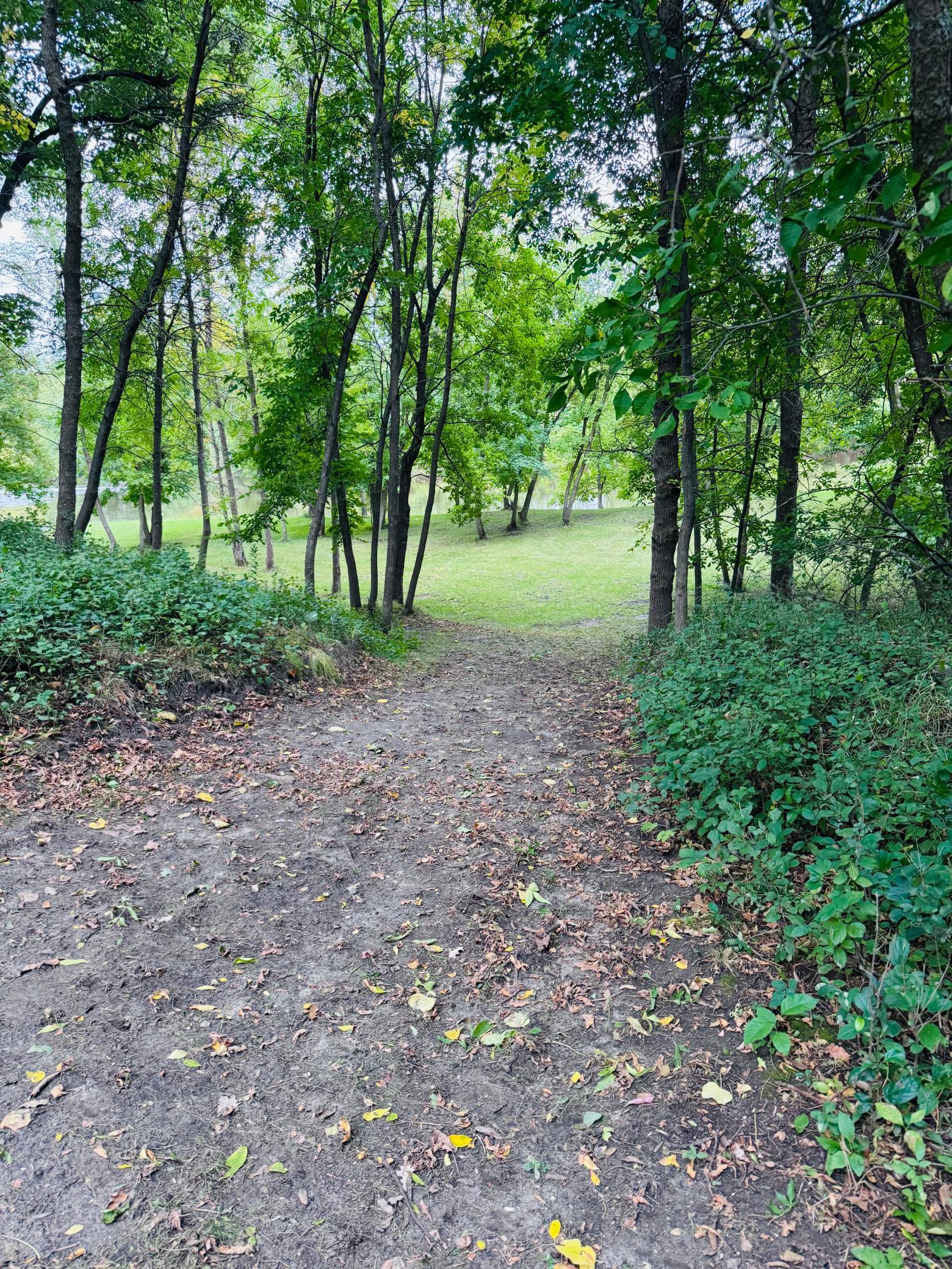 1979 single family home for sale at 128 Eastwood Drive in Thief River Falls, MN — 3 bed, 2 bath (photo 54 of 62)