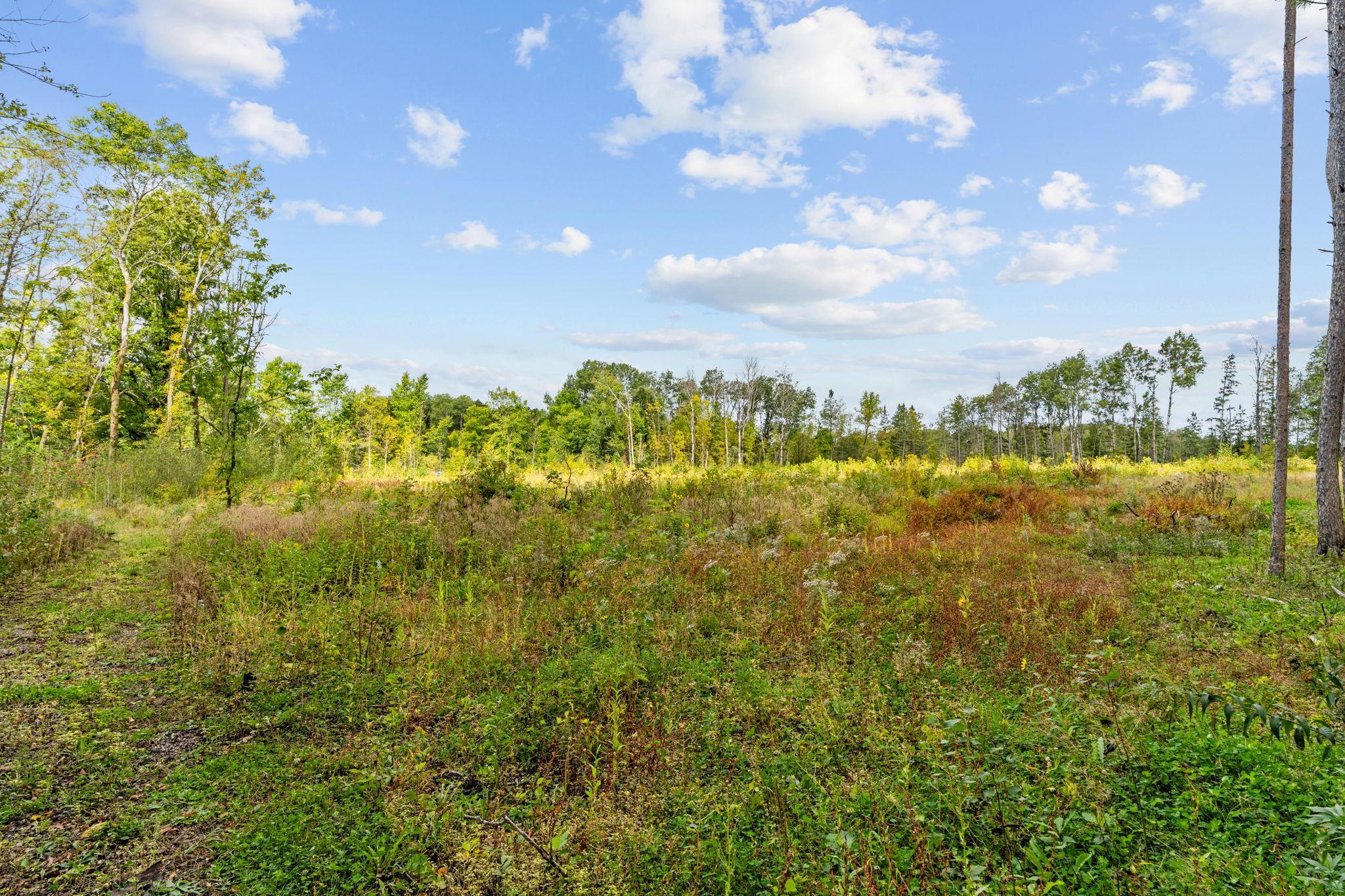 2003 single family home for sale at 18965 124th Lane in Mc Grath, MN — 1 bed, 0 bath (photo 27 of 28)