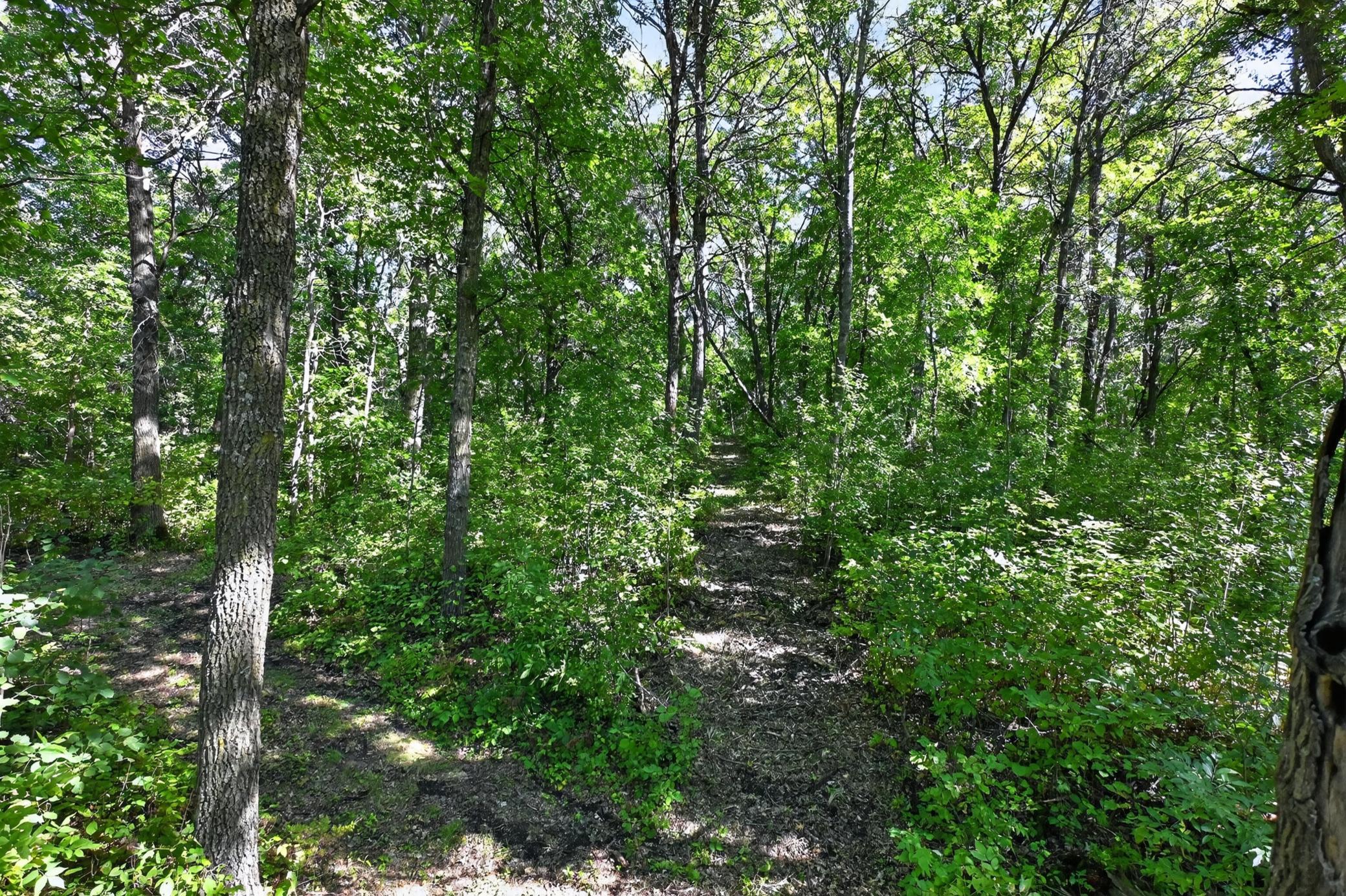1967 single family home for sale at 50540 Snow Lake Road in Vining, MN — 3 bed, 2 bath (photo 54 of 87)