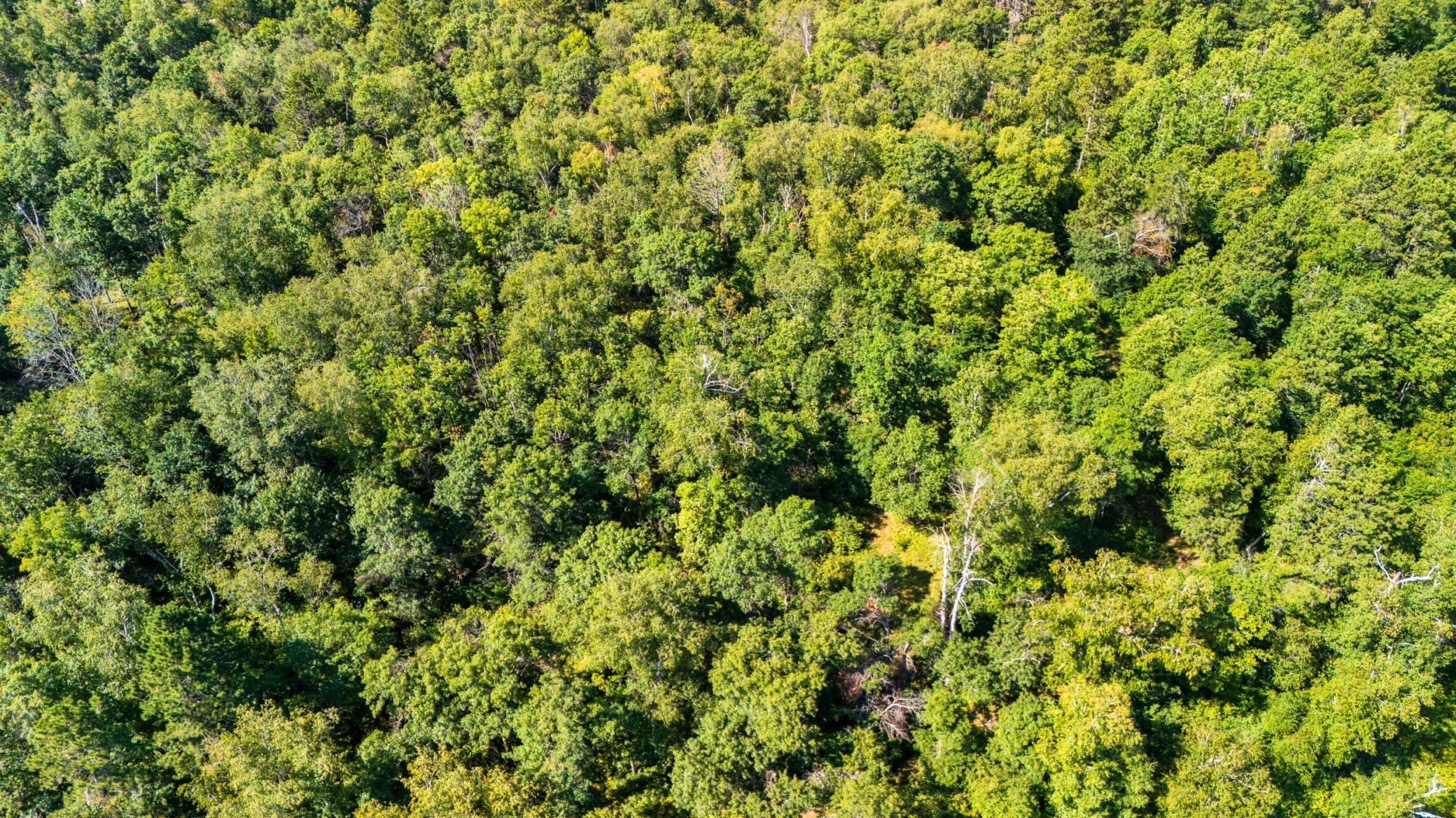 land for sale at Lot 8 Park Preserve Trail NE in Bemidji, MN (photo 11 of 14)