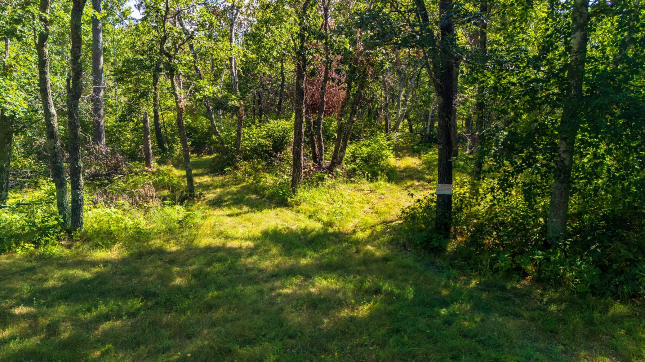 land for sale at Lot 8 Park Preserve Trail NE in Bemidji, MN (photo 14 of 14)