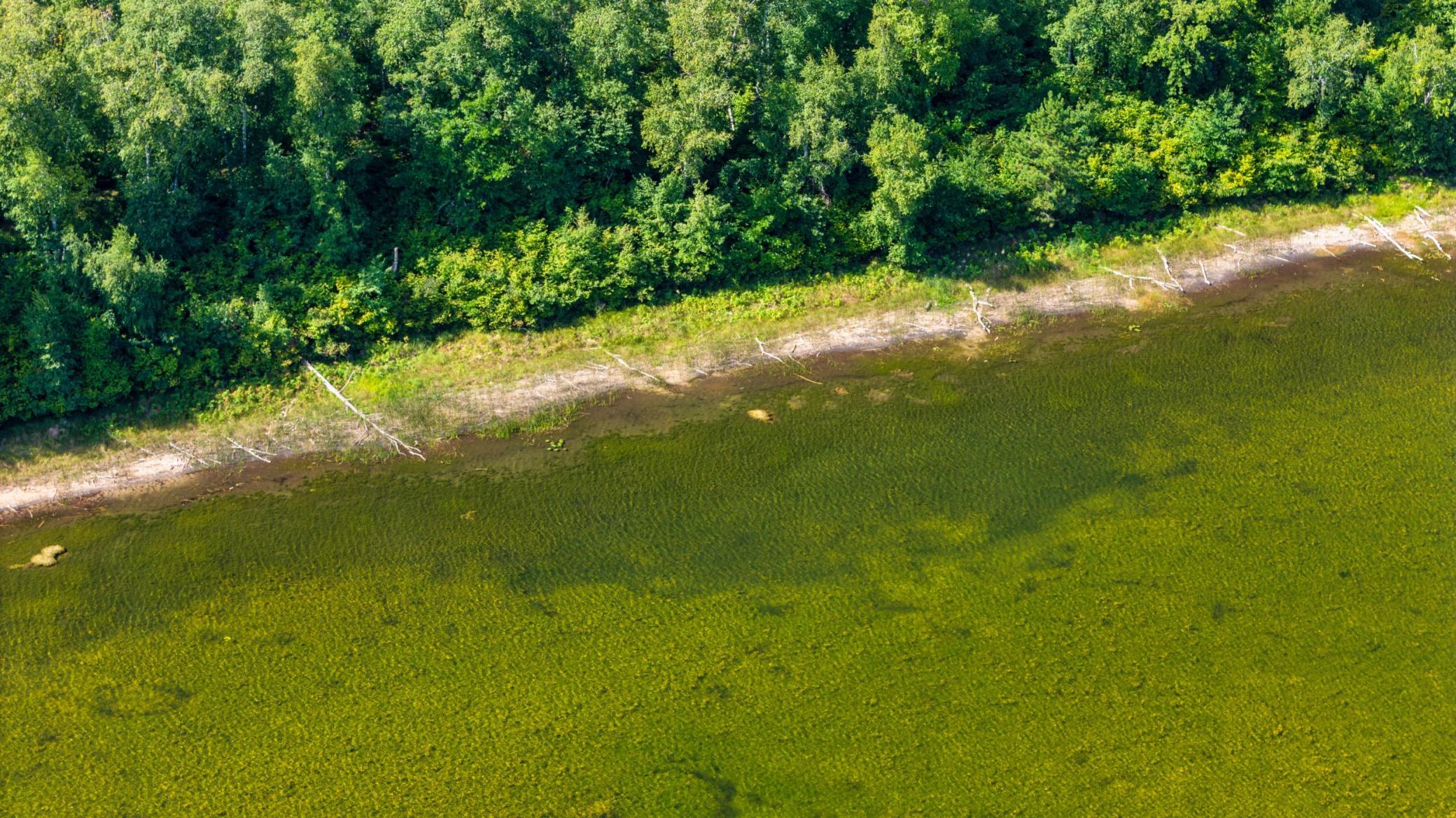 land for sale at Lot 8 Park Preserve Trail NE in Bemidji, MN (photo 3 of 14)