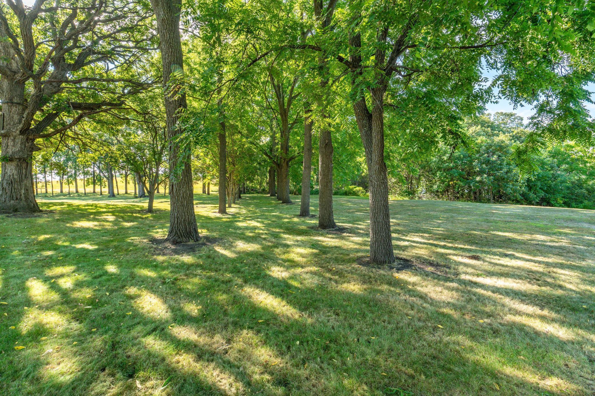 1972 single family home for sale at 13890 County Road 1 NW in Evansville, MN — 3 bed, 2 bath (photo 52 of 61)