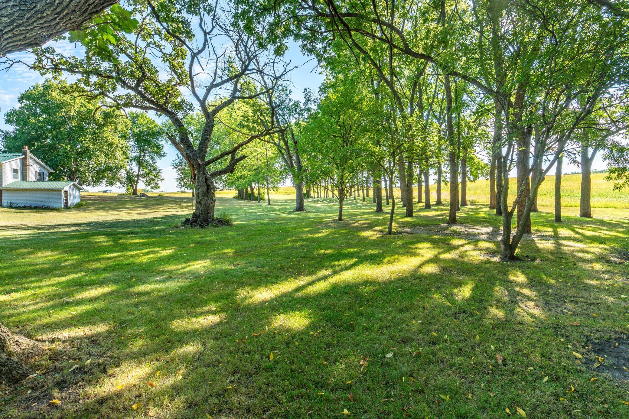 1972 single family home for sale at 13890 County Road 1 NW in Evansville, MN — 3 bed, 2 bath (photo 55 of 61)