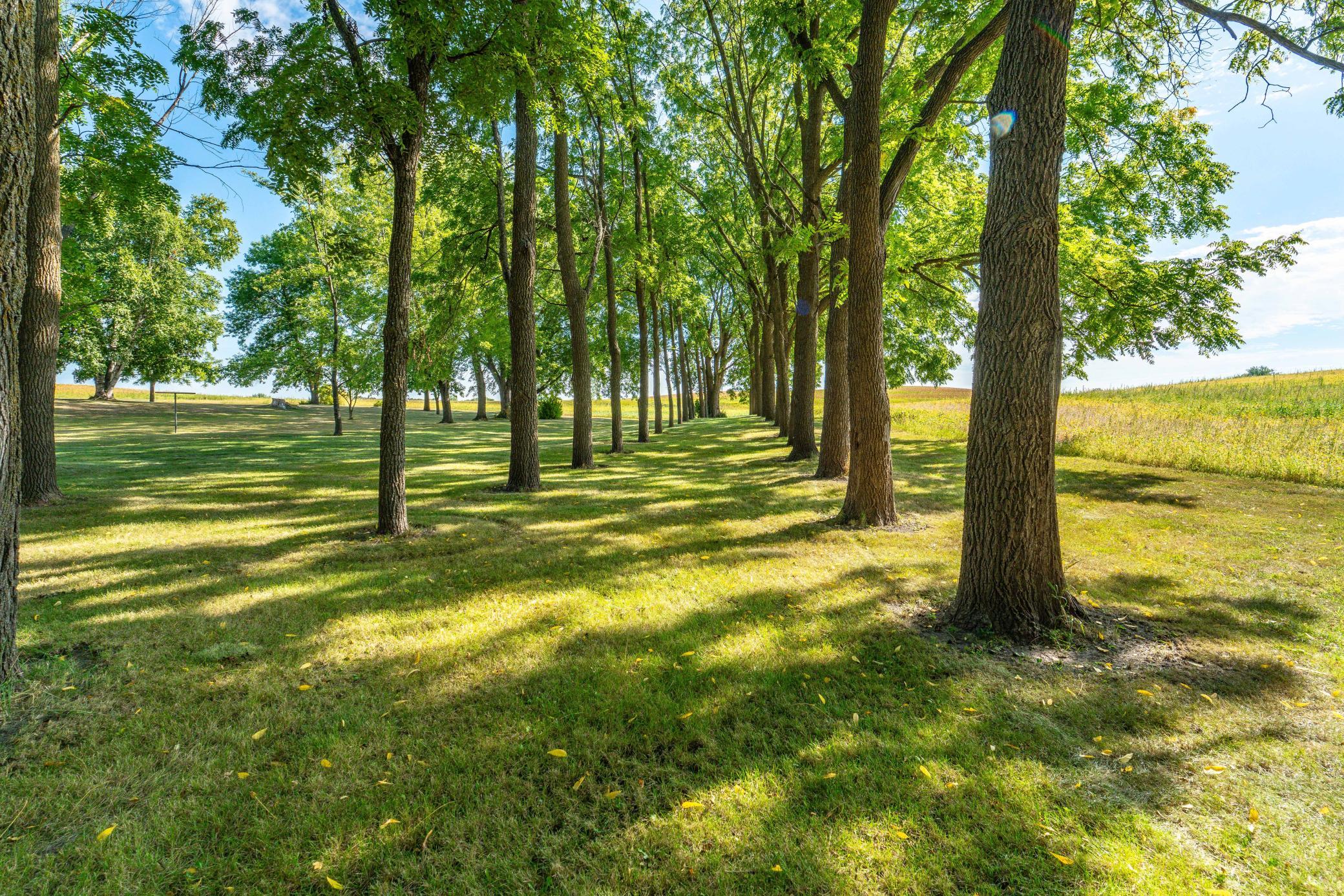 1972 single family home for sale at 13890 County Road 1 NW in Evansville, MN — 3 bed, 2 bath (photo 56 of 61)