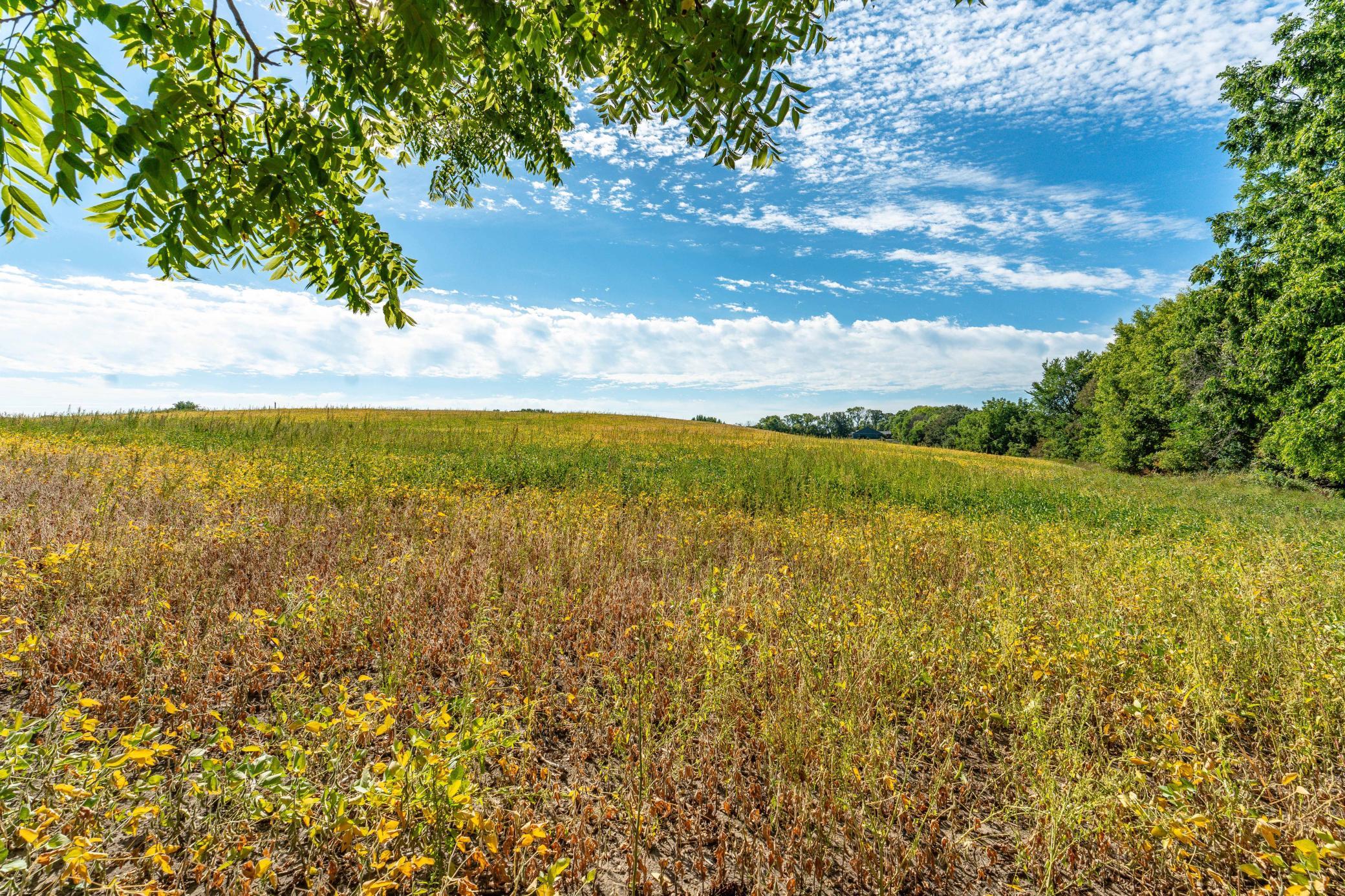 1972 single family home for sale at 13890 County Road 1 NW in Evansville, MN — 3 bed, 2 bath (photo 57 of 61)