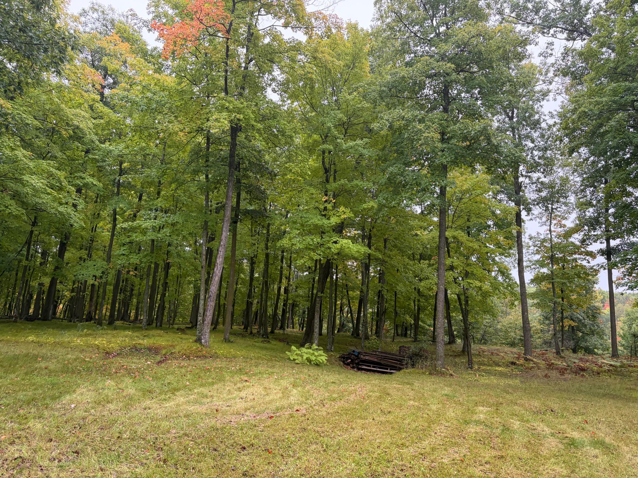 land for sale at TBD 116th Lane in Finlayson, MN