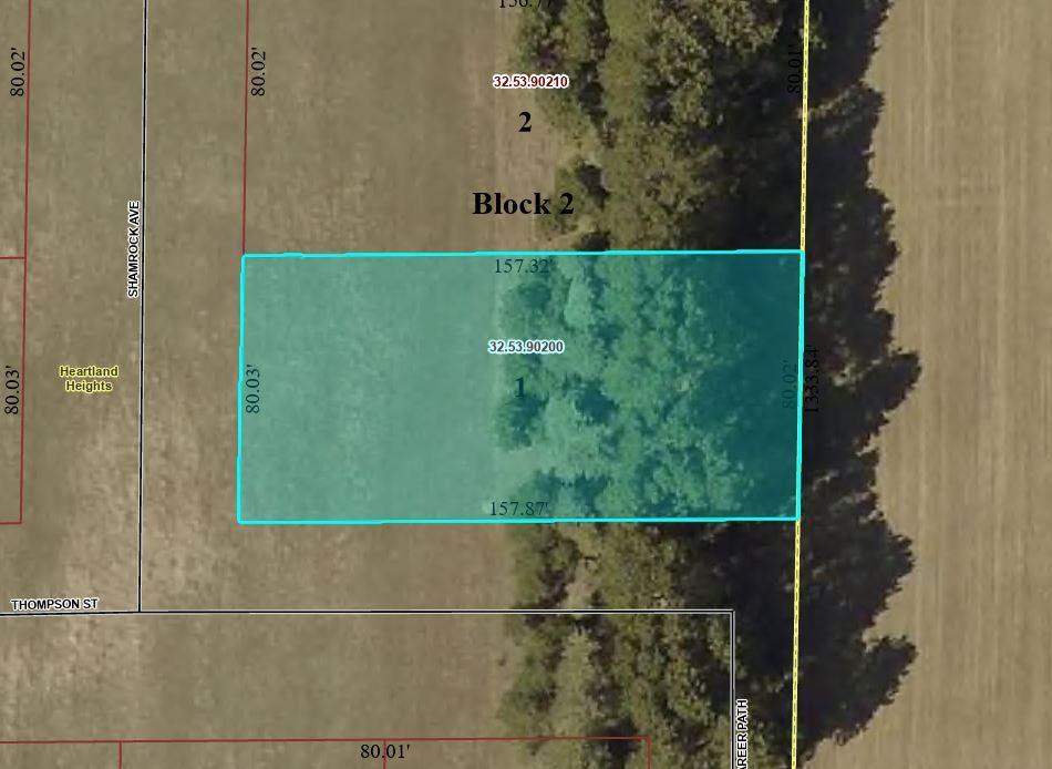 land for sale at TBD Lot 1 Thompson St in Park Rapids, MN (photo 4 of 6)