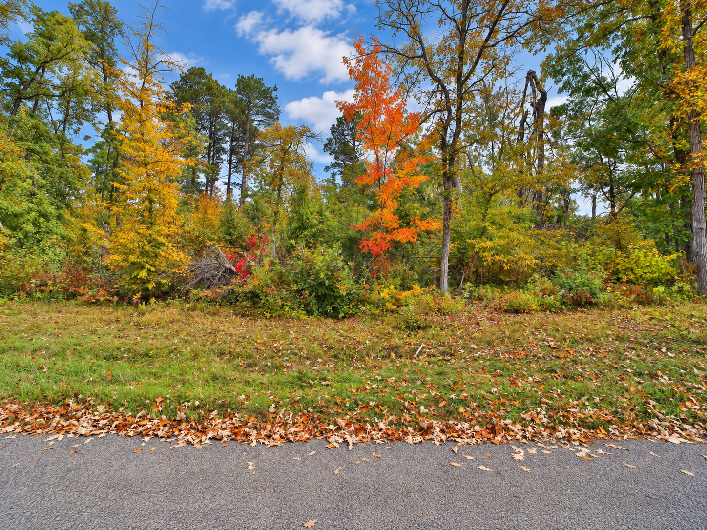 land for sale at TBD Timber Lane in Pequot Lakes, MN (photo 2 of 8)