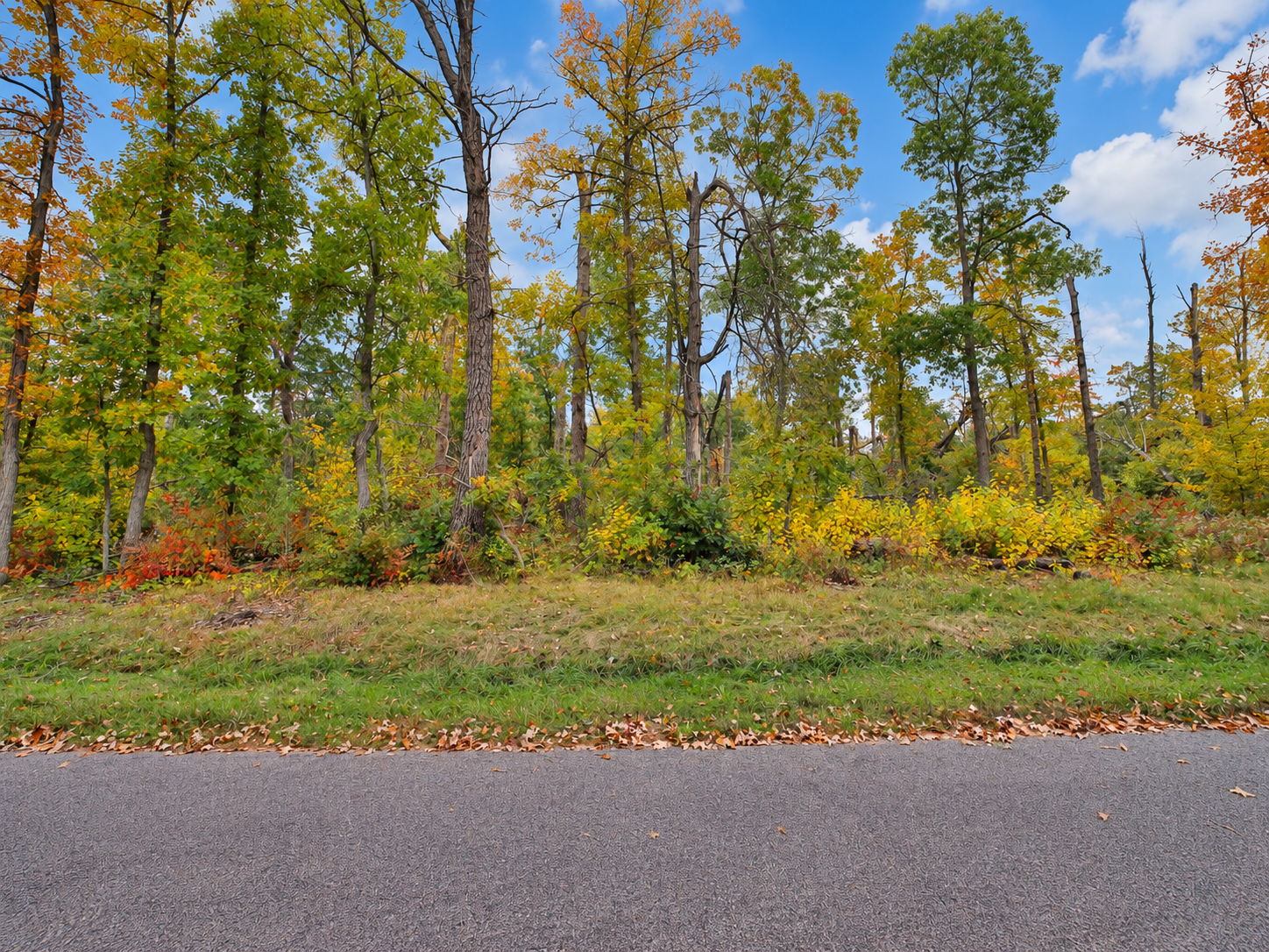 land for sale at TBD Timber Lane in Pequot Lakes, MN (photo 3 of 8)